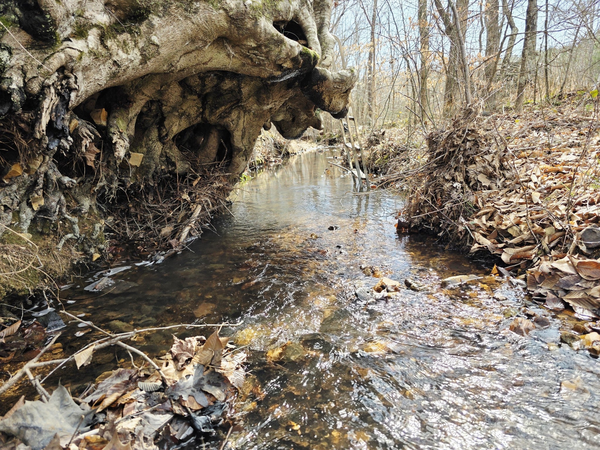 Photo of Listing #3130922