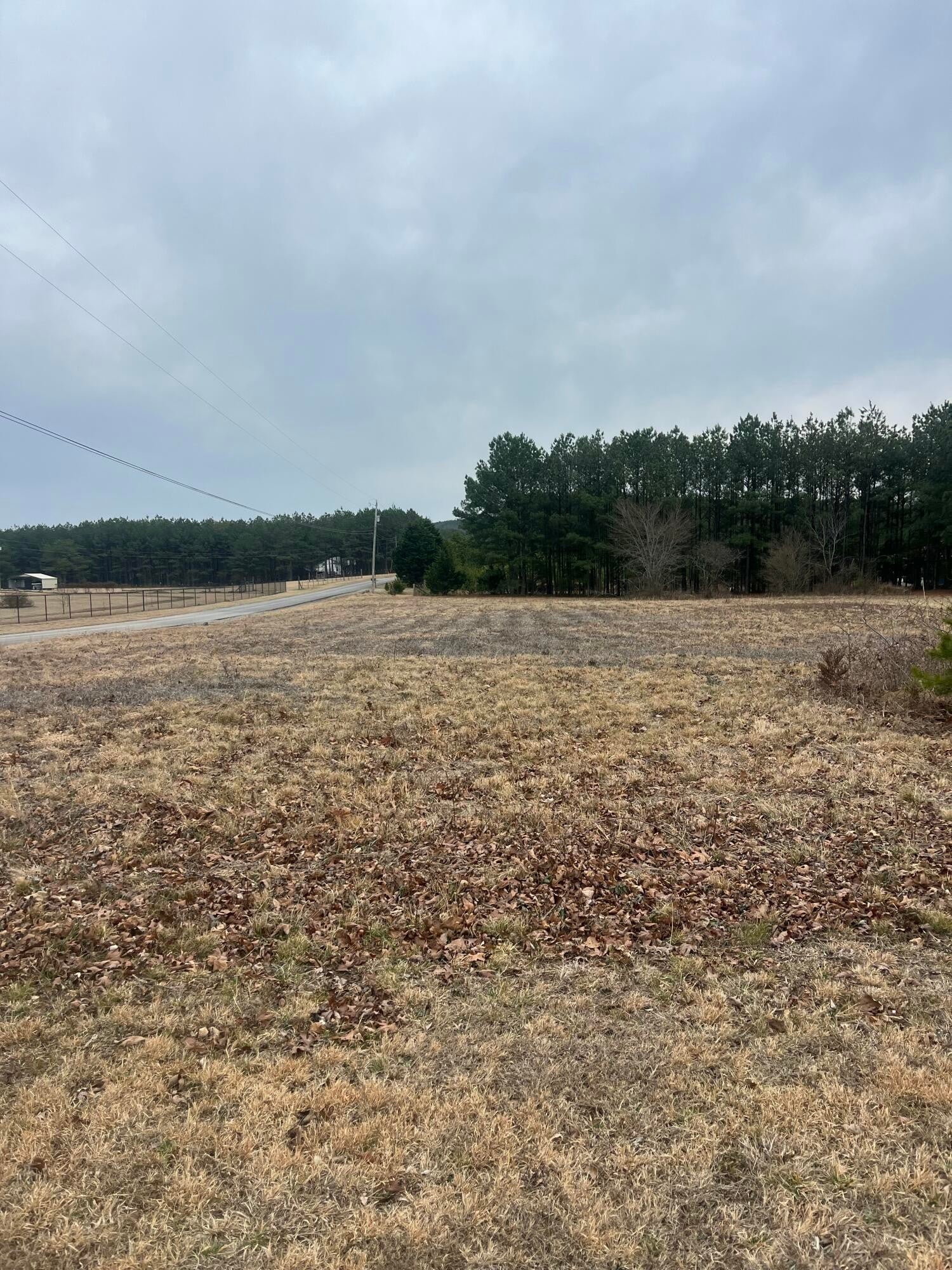 Photo of Listing #3130933