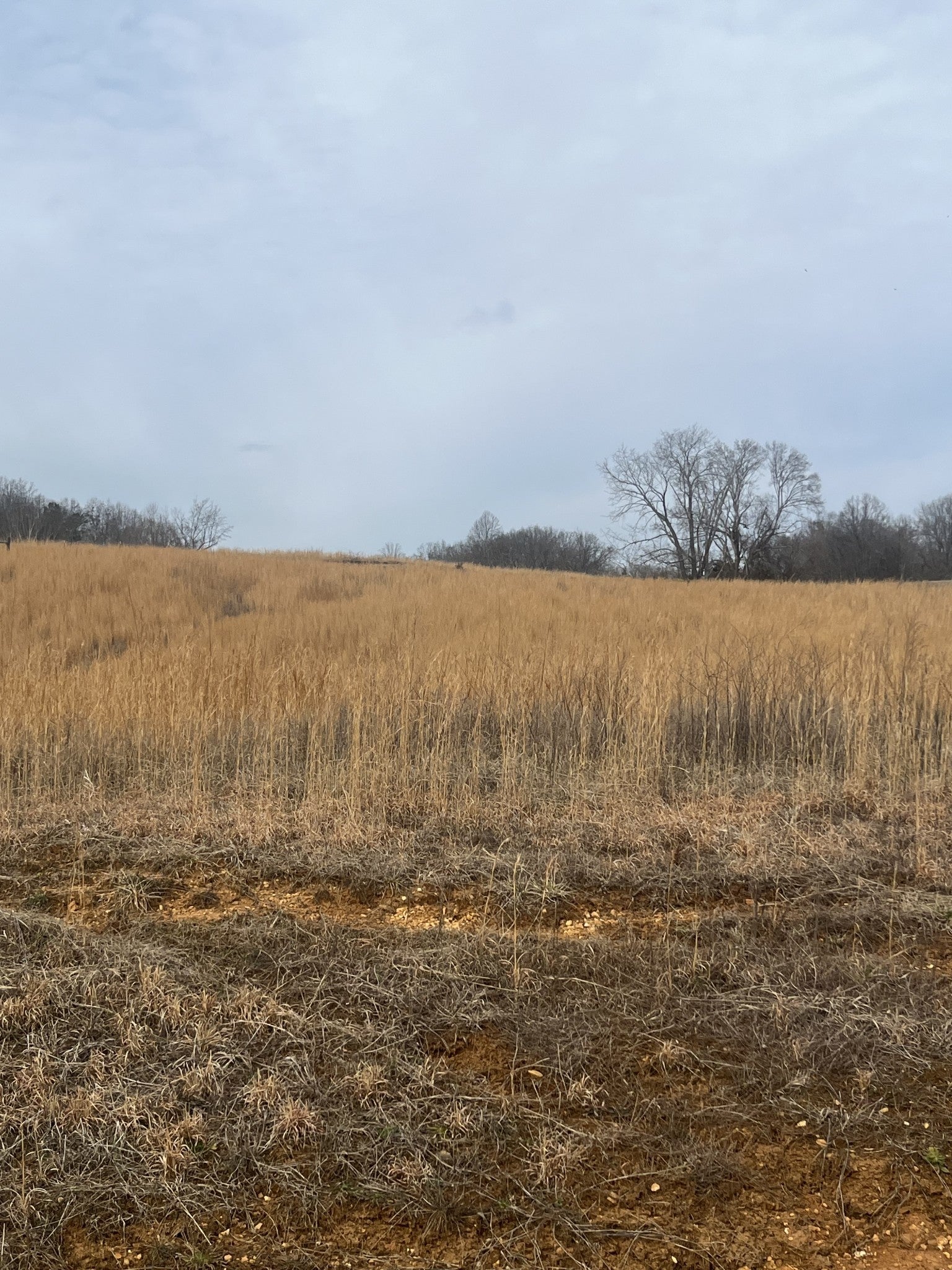 Photo of Listing #3130957