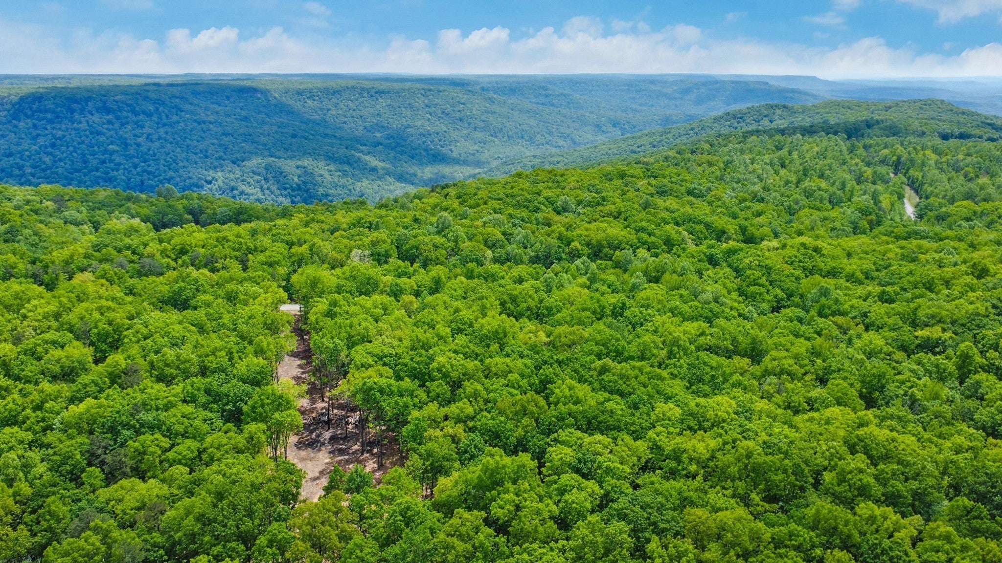 Photo of Listing #3130968