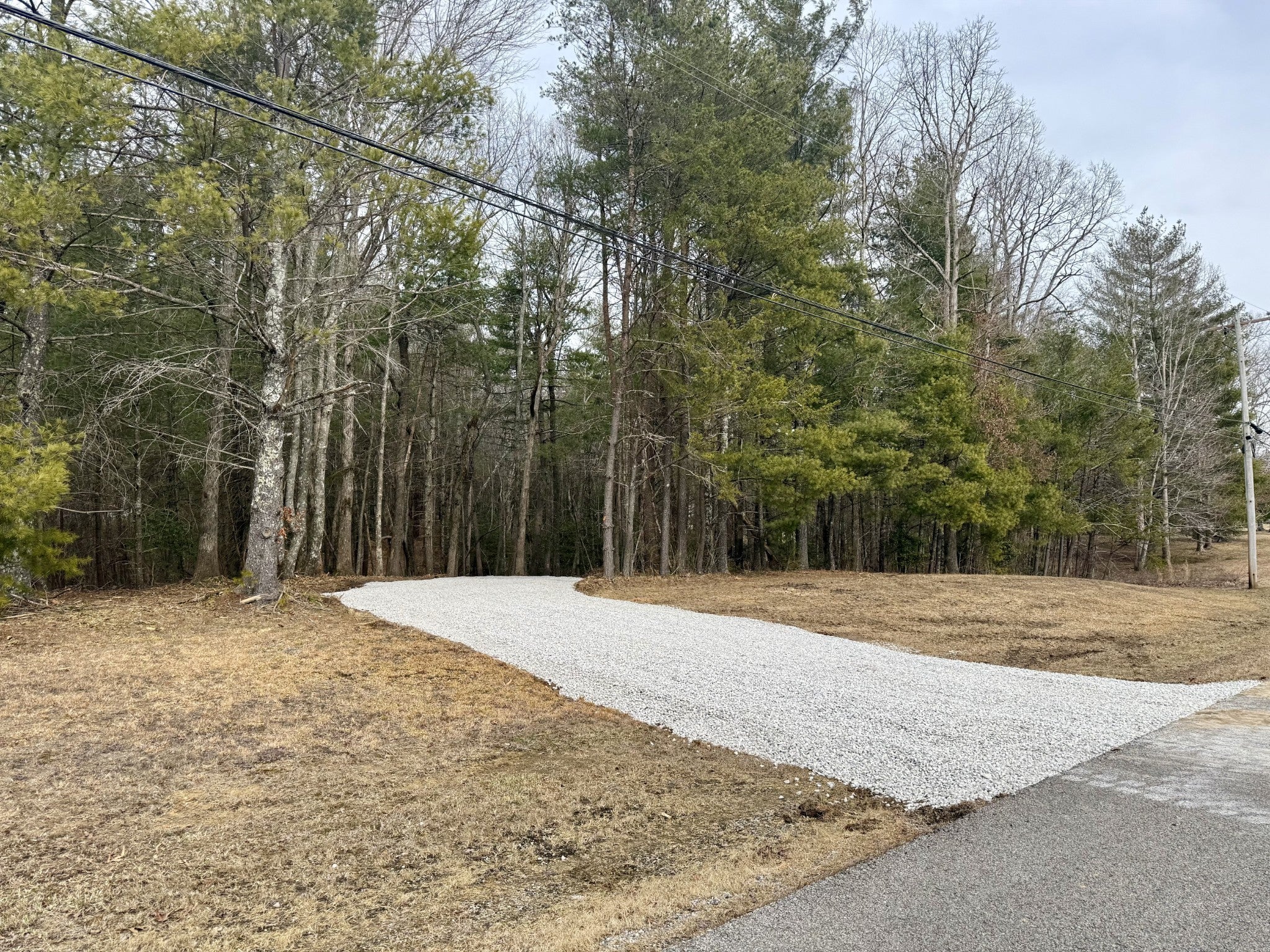 Photo of Listing #3131016