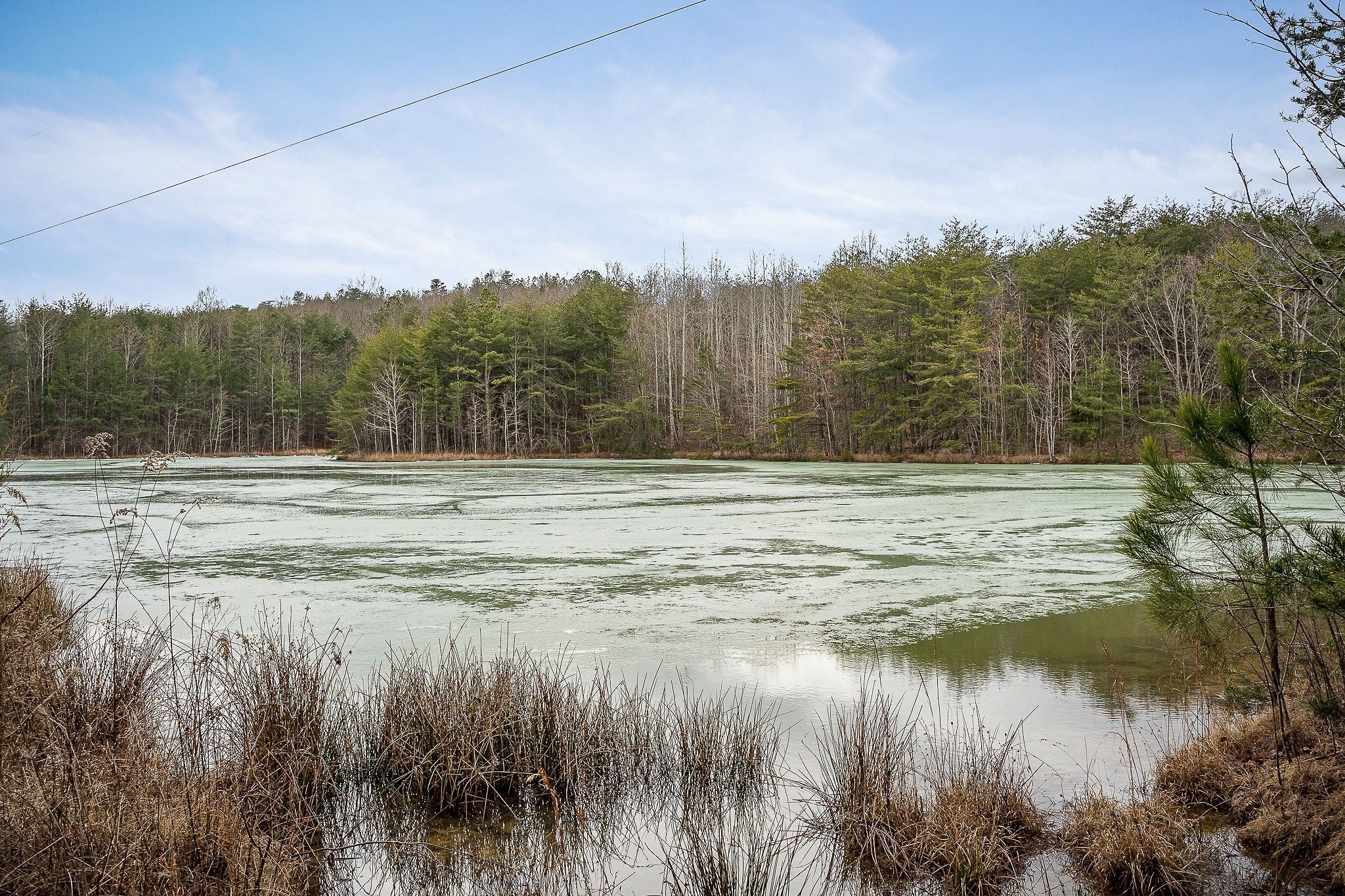 Photo of Listing #3131026