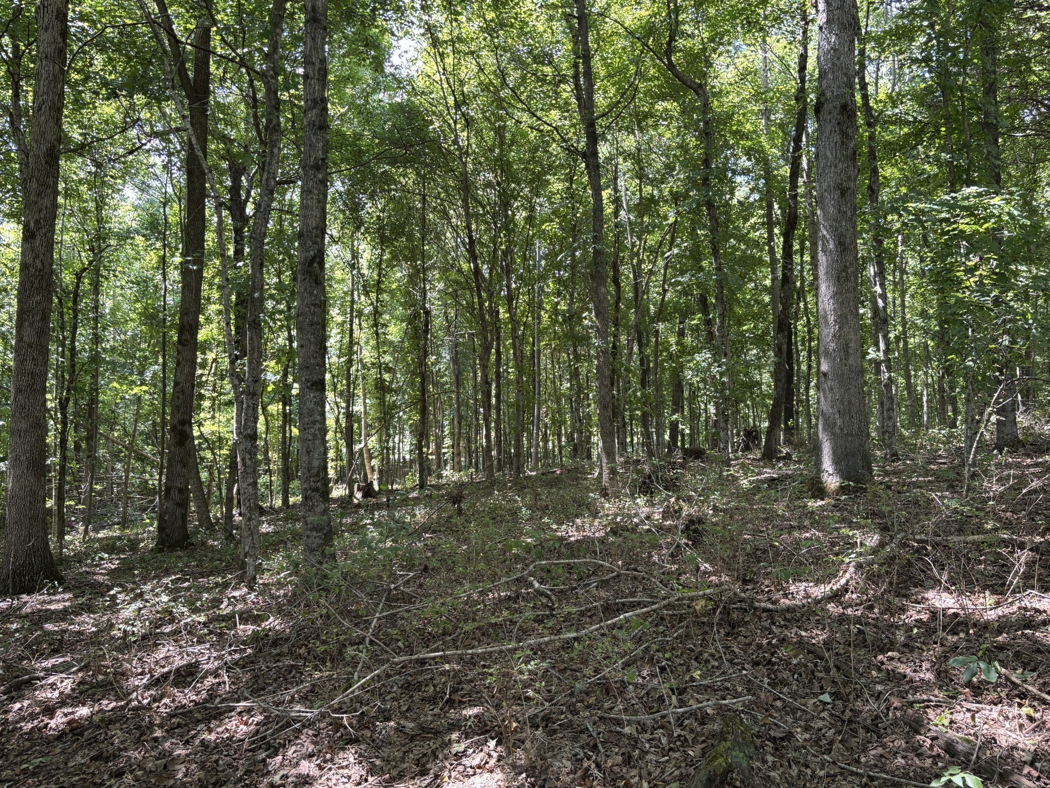 Photo of Listing #3131208