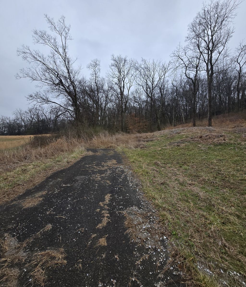 22241 Hwy 64, Pulaski