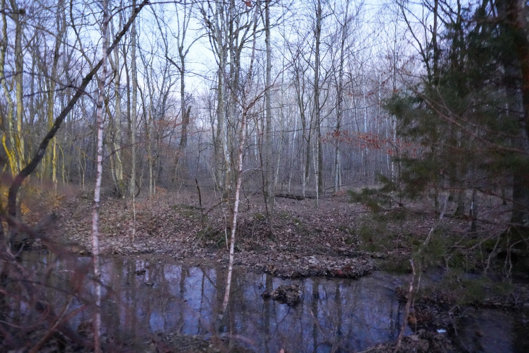 Photo of Listing #3131502