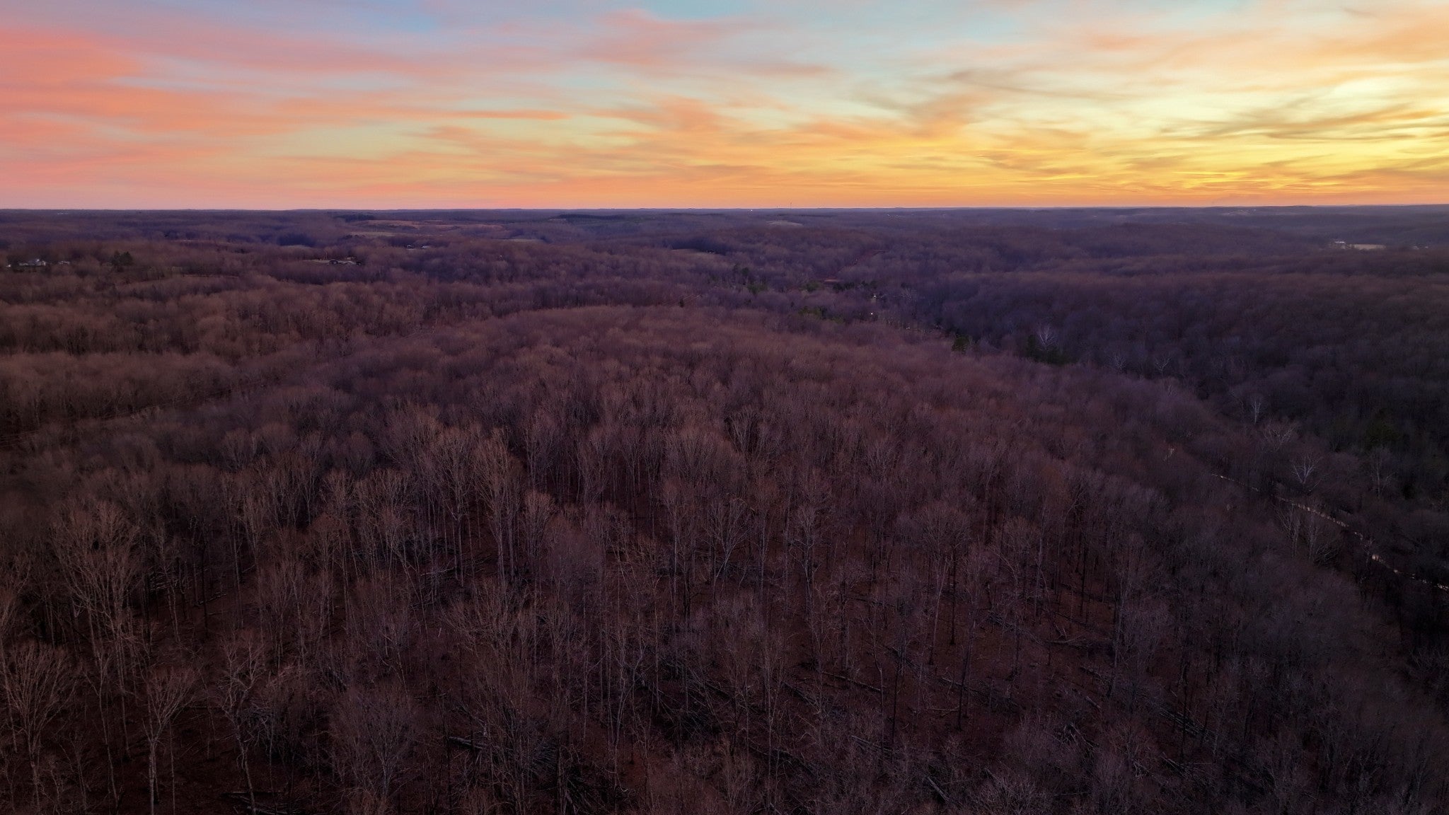 Photo of Listing #3131502