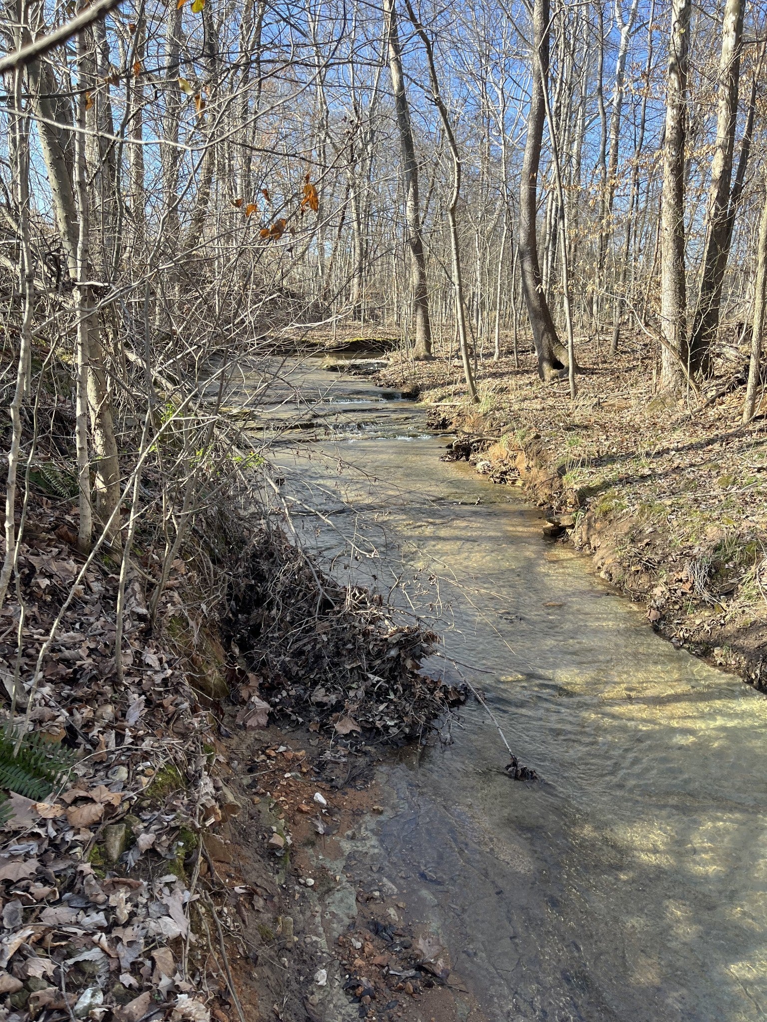 Photo of Listing #3131595