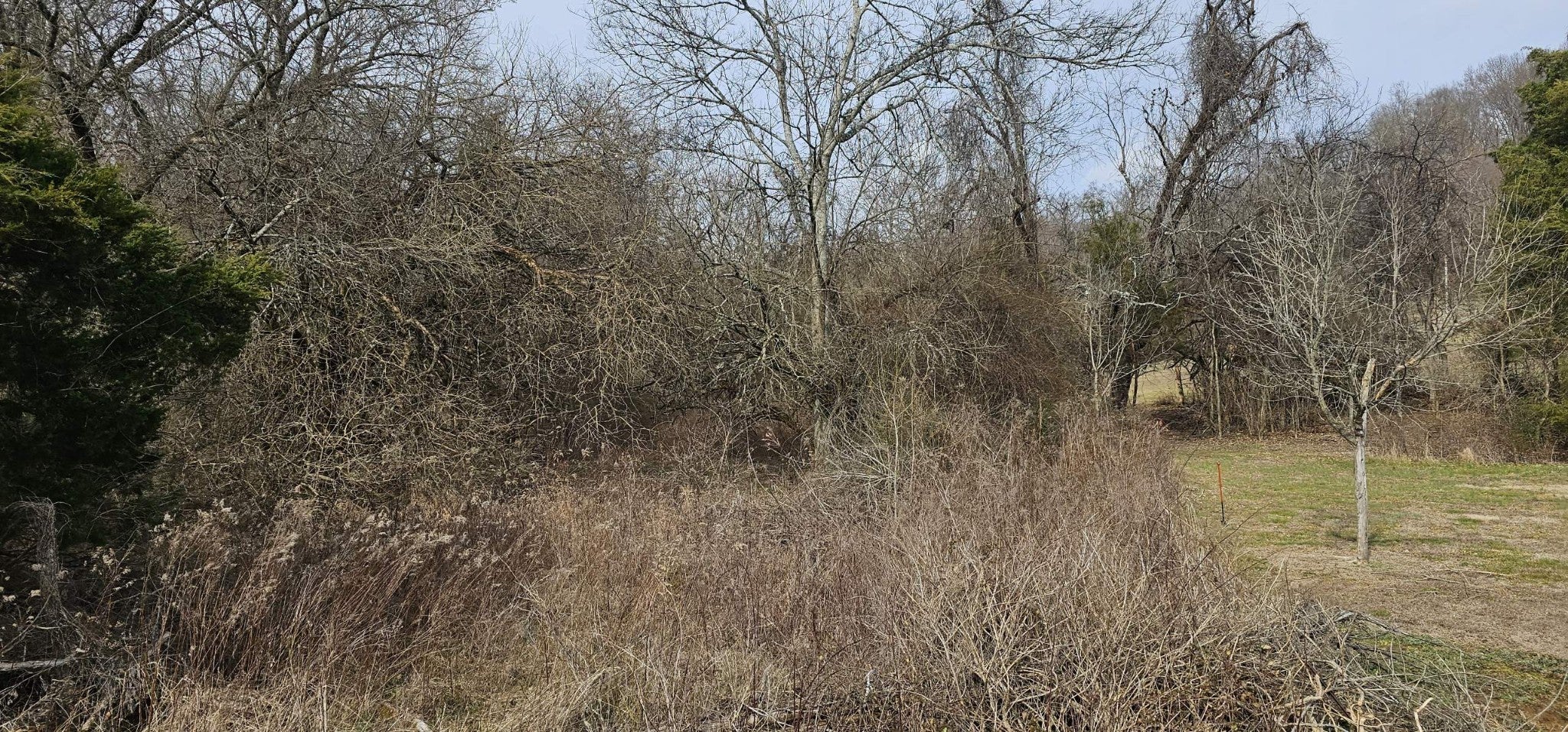 Photo of Listing #3131701