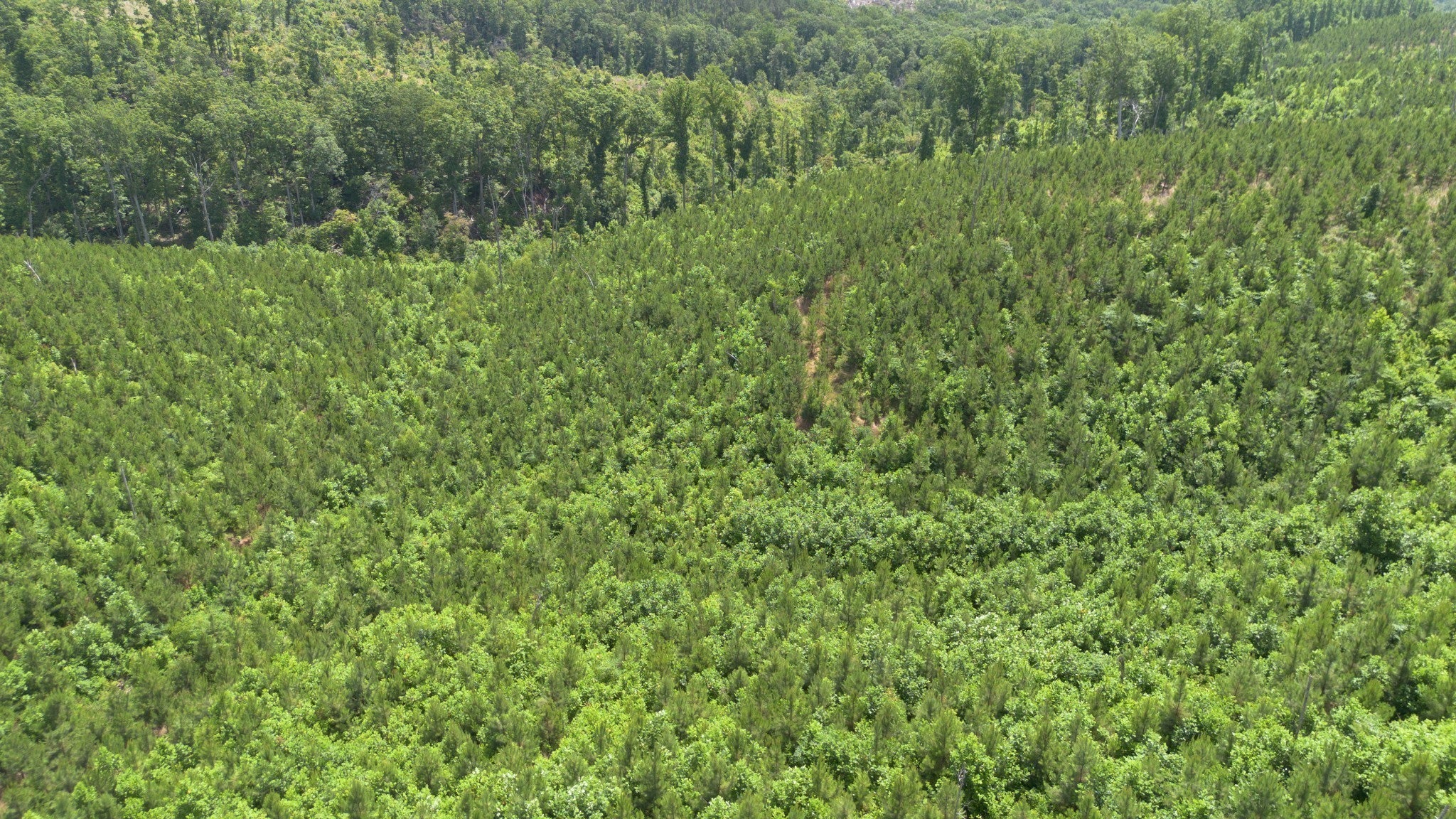 Photo of Listing #3131893