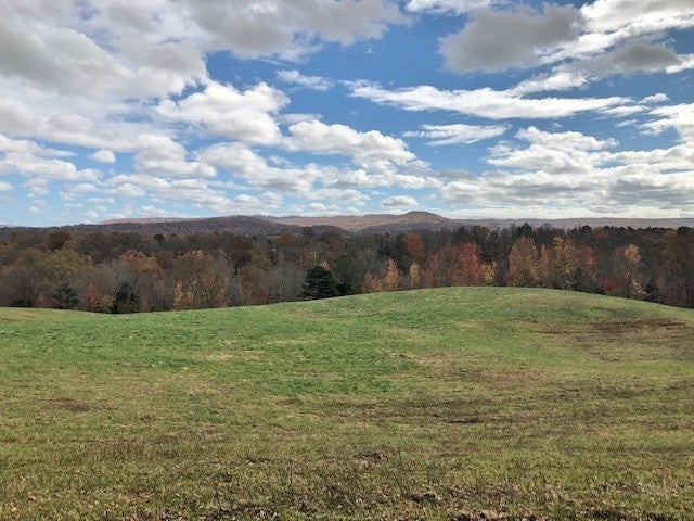 Photo of Listing #3131941