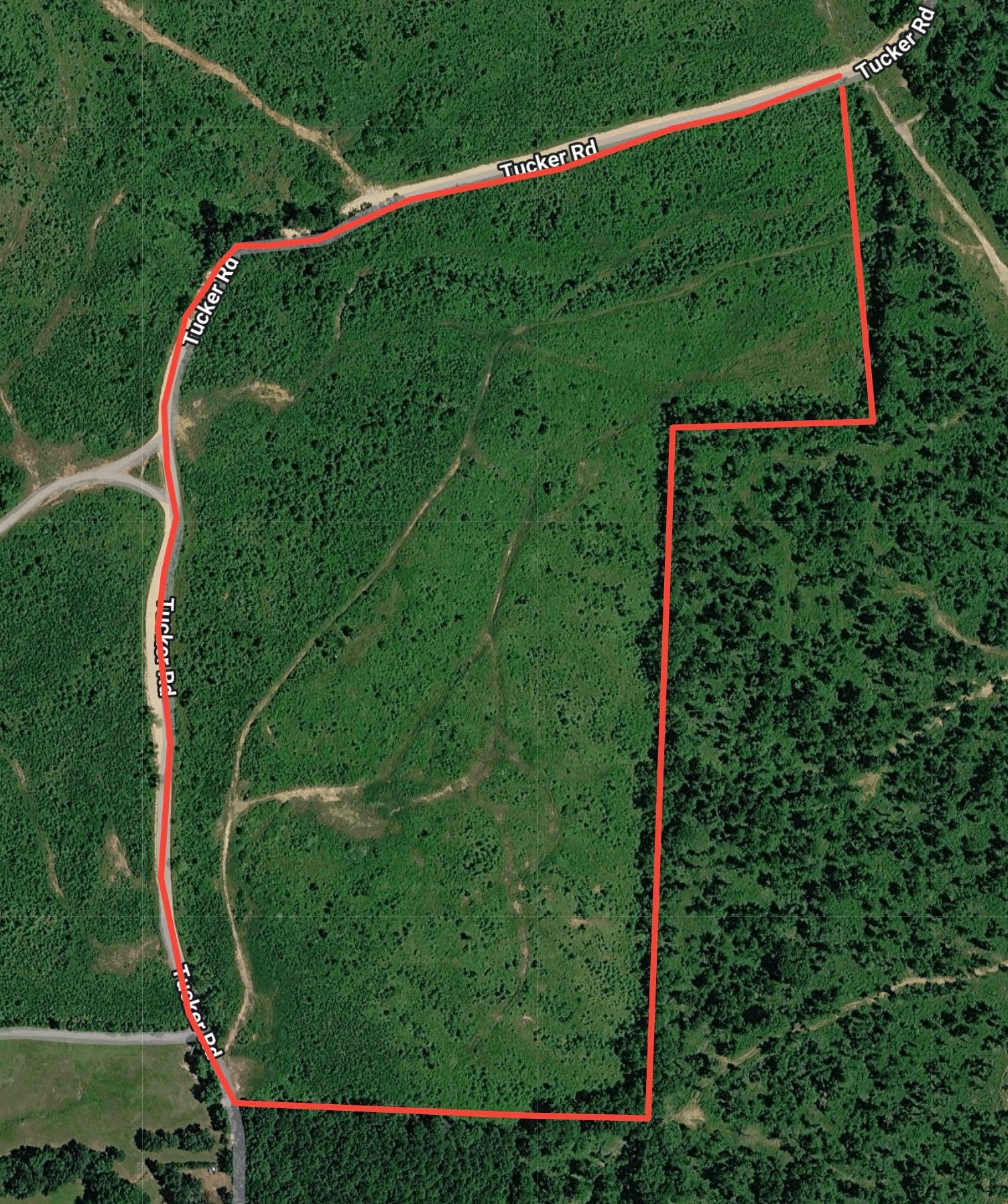 Photo of Listing #3131984