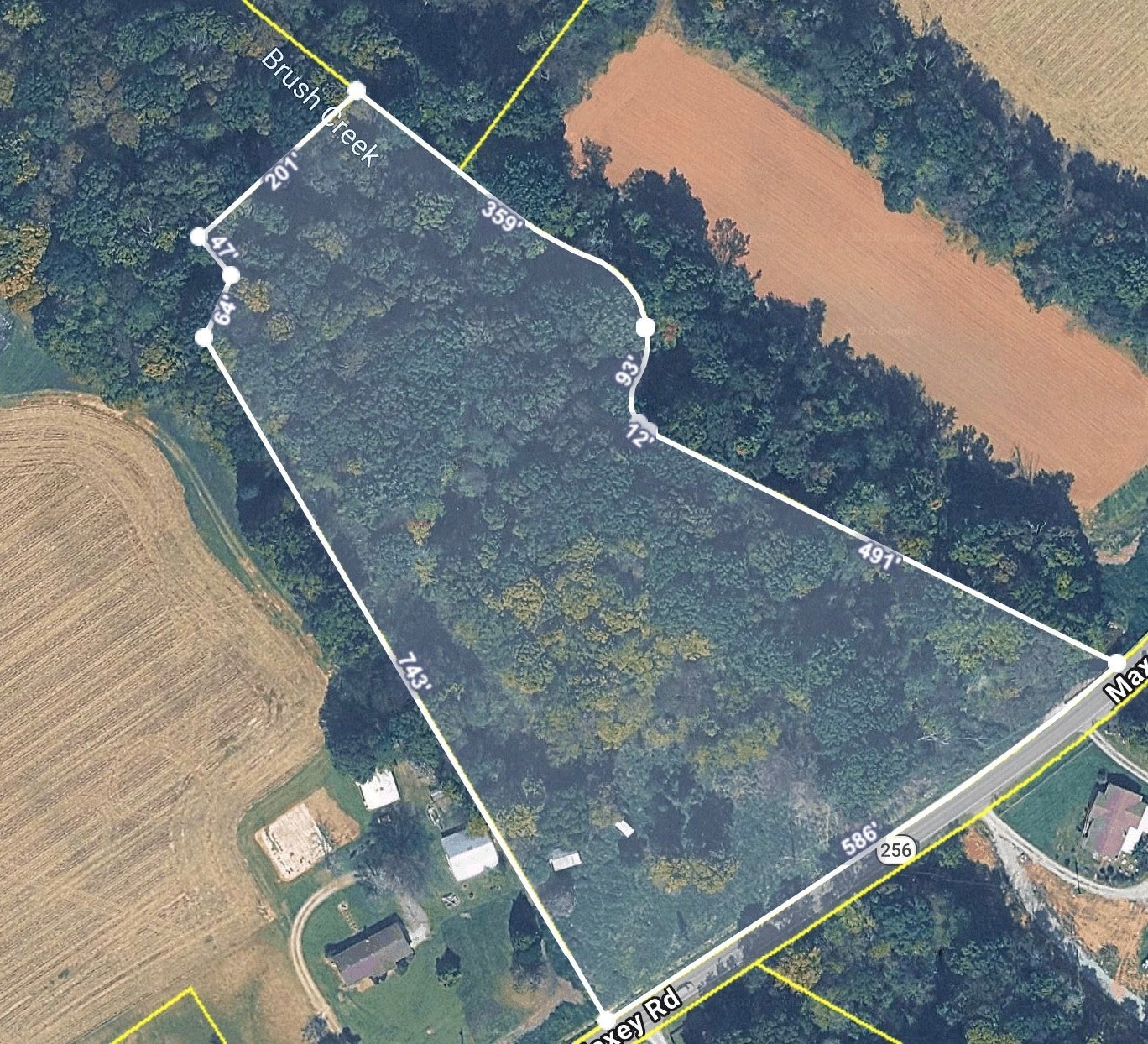 Photo of Listing #3132030