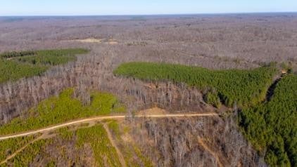 Photo of Listing #3132246