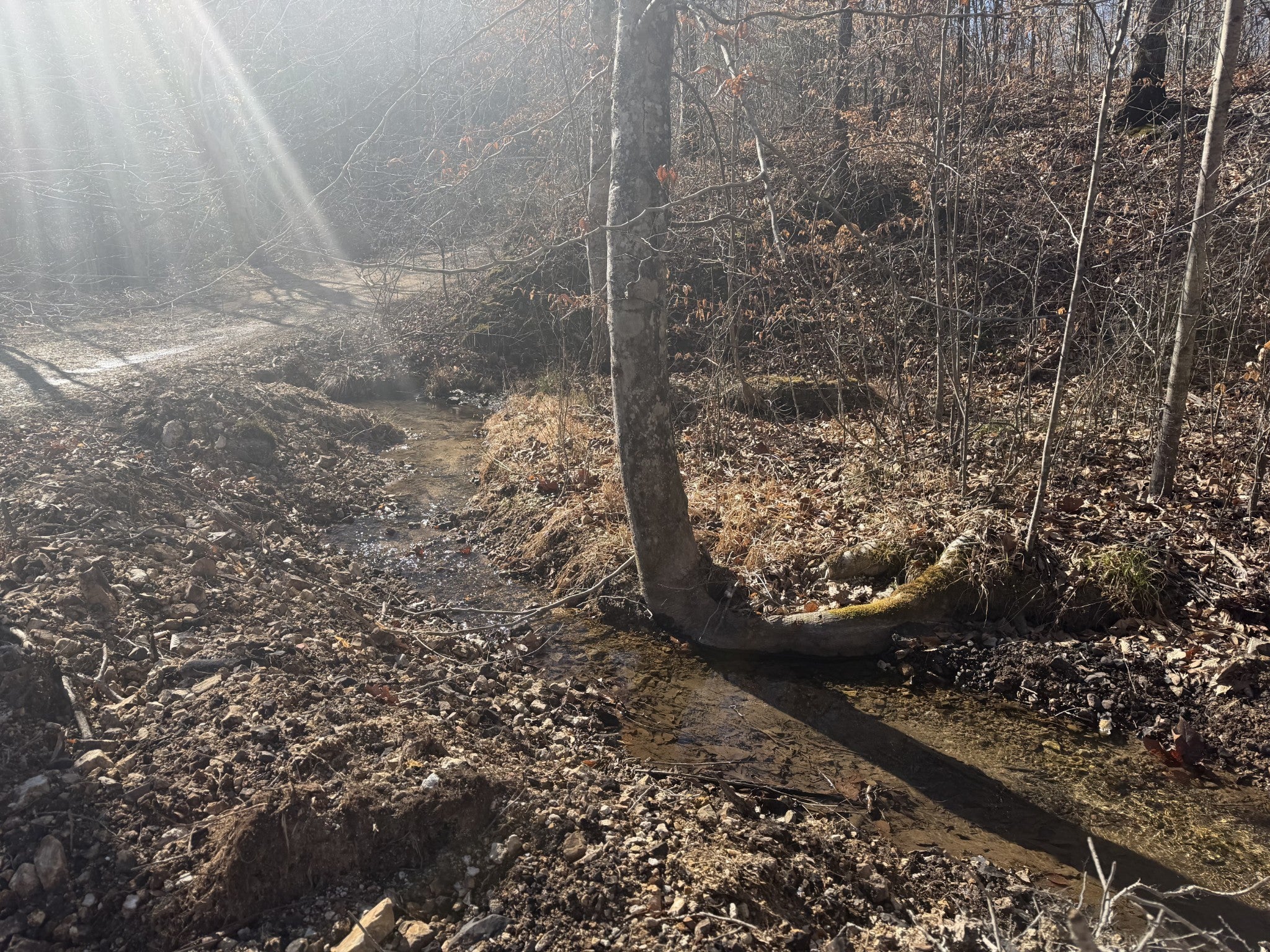 Photo of Listing #3132259