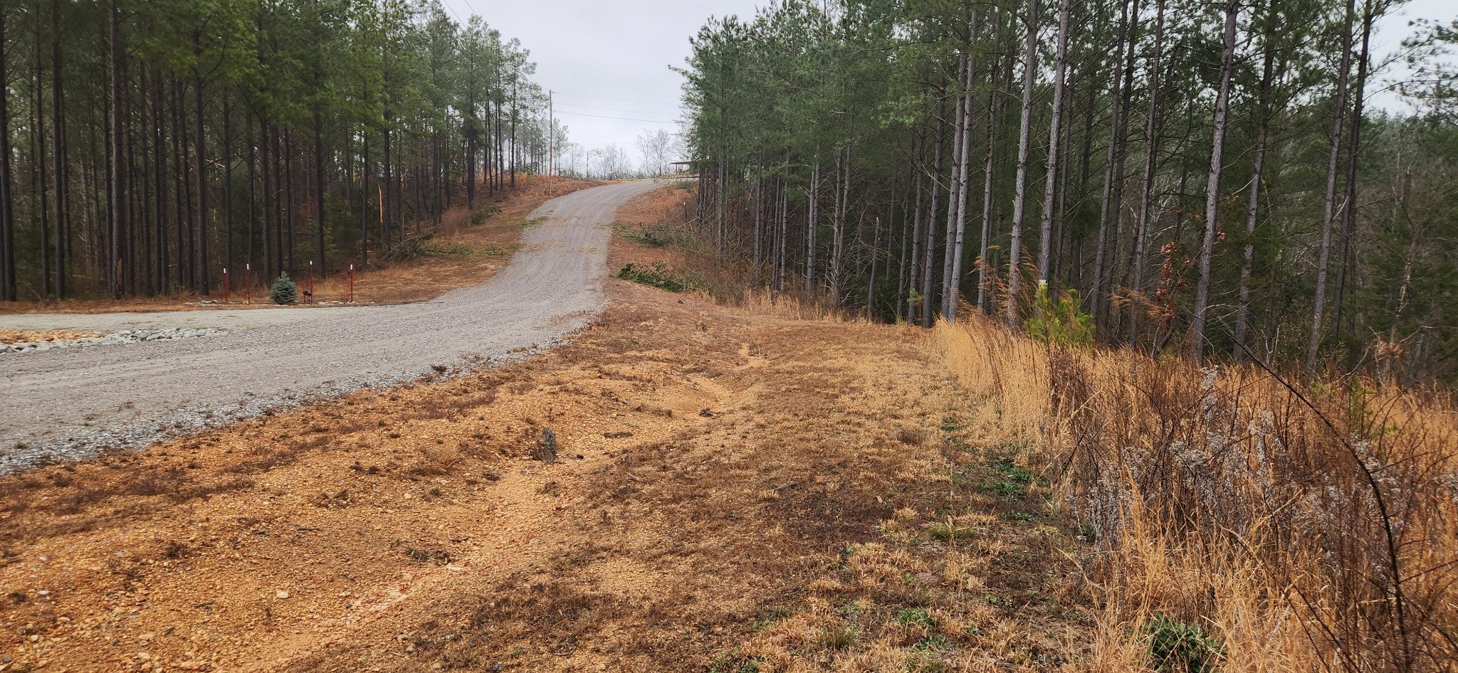 Photo of Listing #3132500