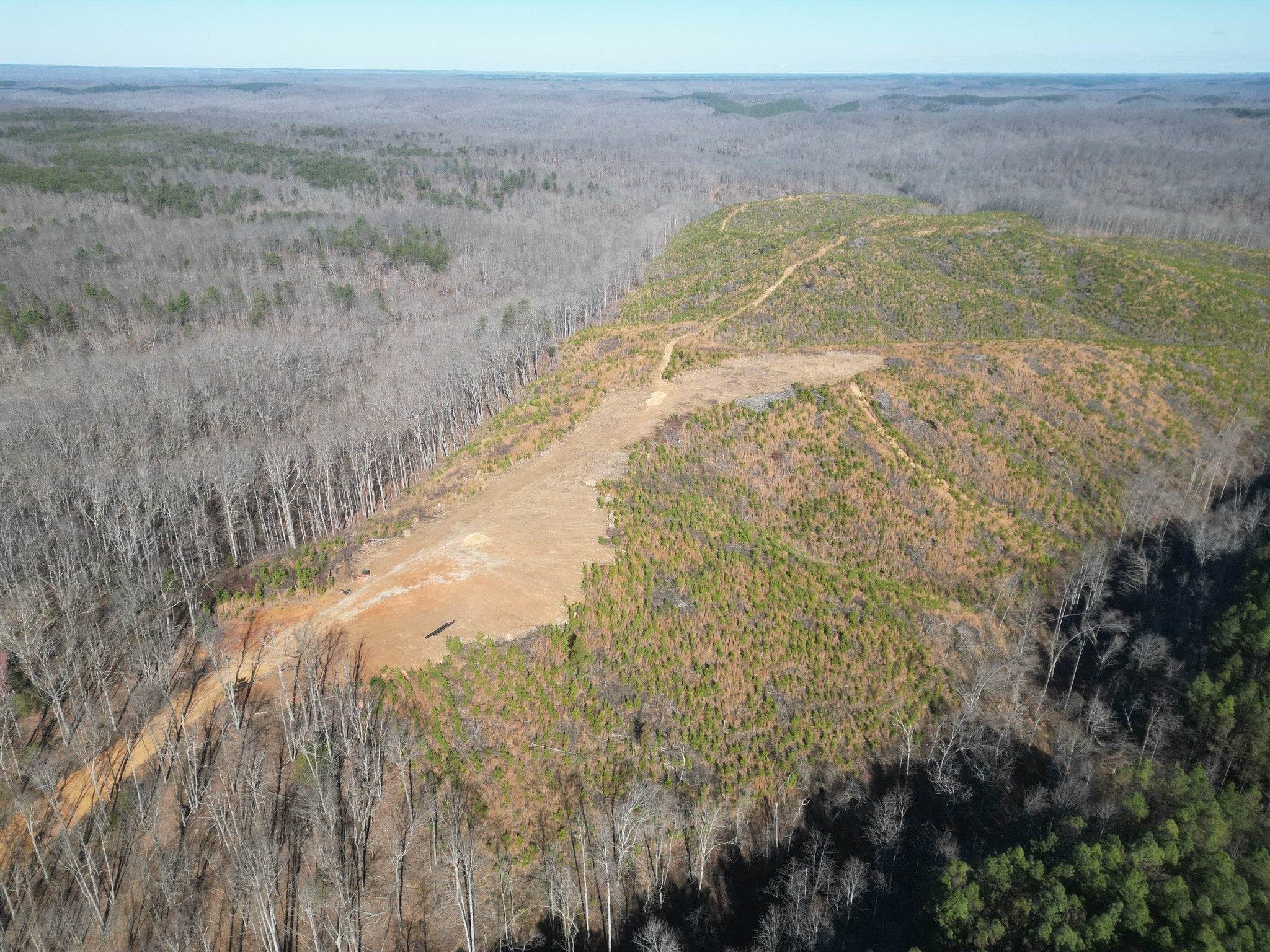 Photo of Listing #3132510