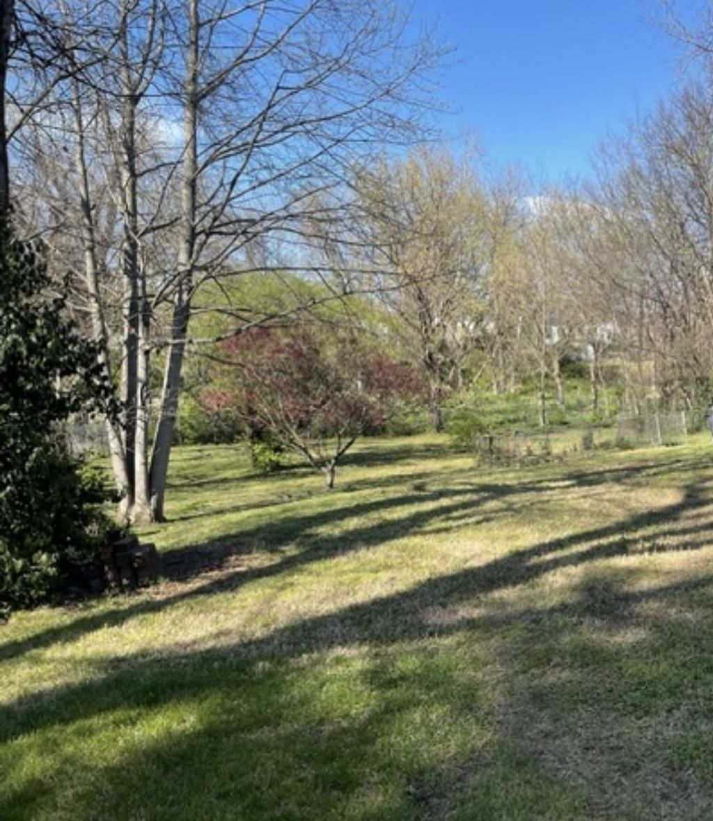1007 Petway Ave Ne, Nashville