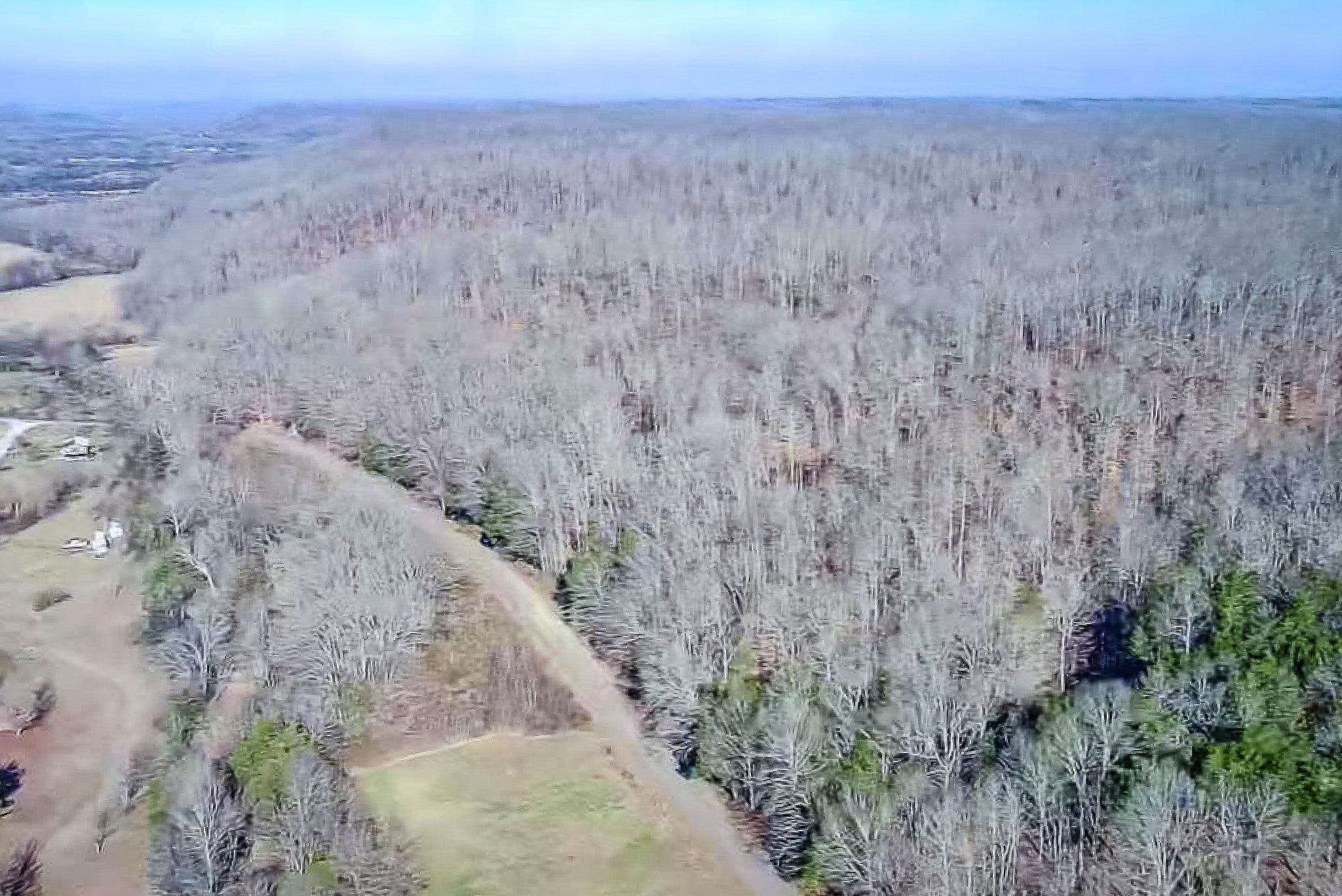 Photo of Listing #3132735