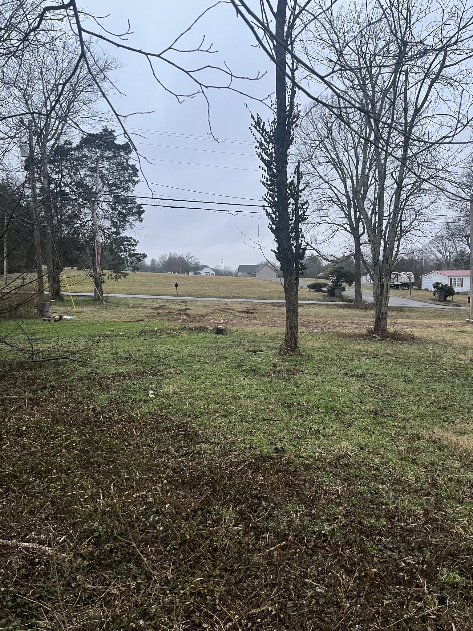 Photo of Listing #3132778