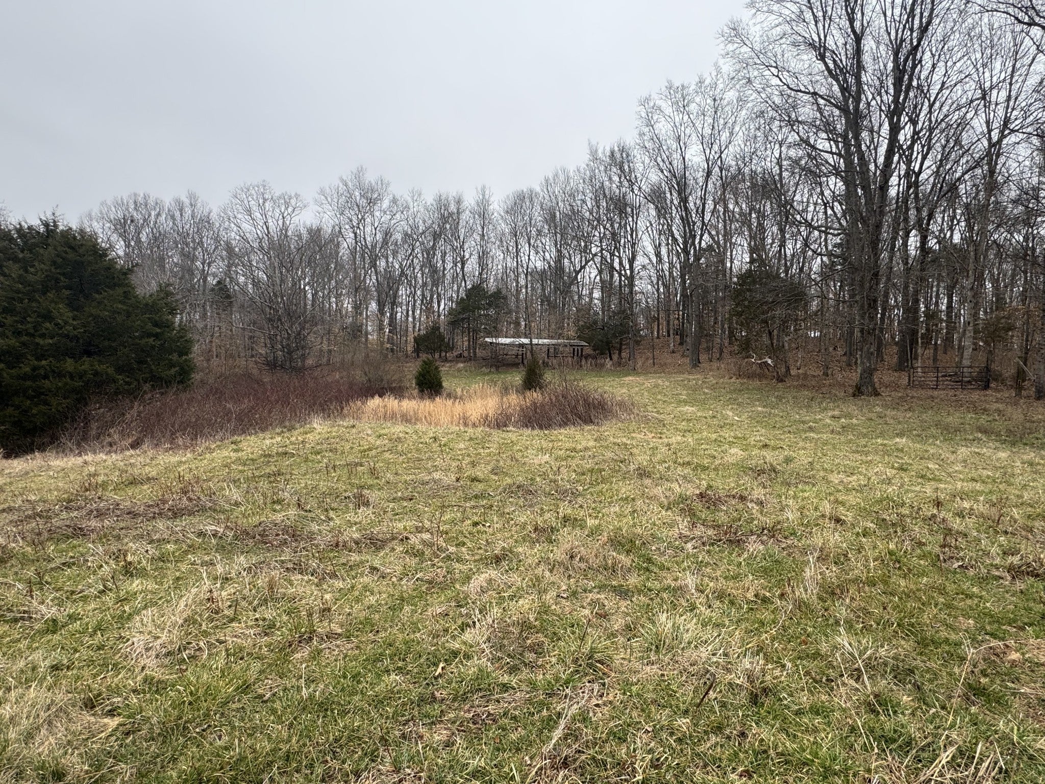 Photo of Listing #3132911