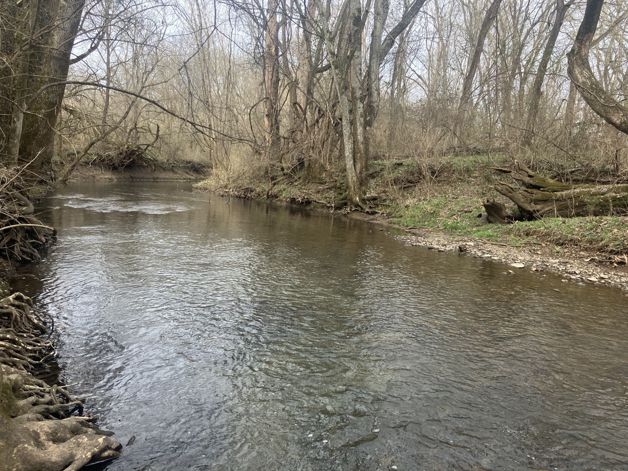 Photo of Listing #3132976