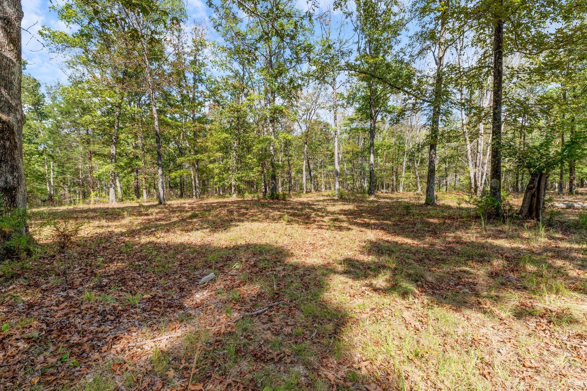 Photo for MLS 3133046 in 5500 Old Nashville Hwy Mc Ewen, TN - 37101