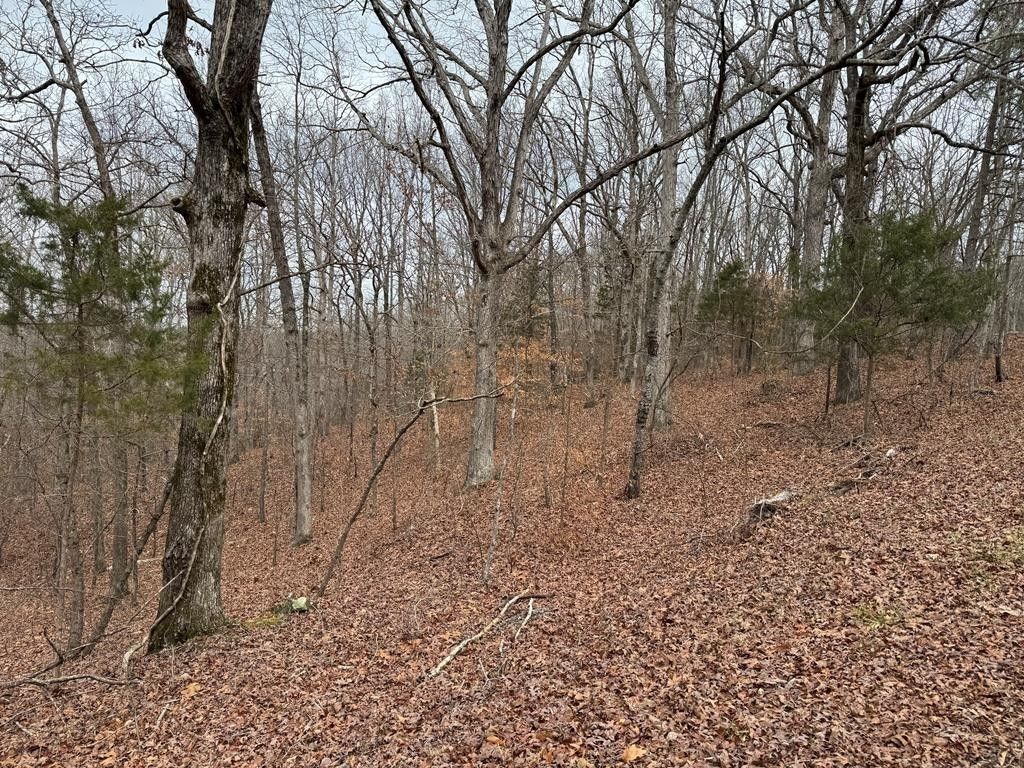 613 Williams Grove Rd, Camden