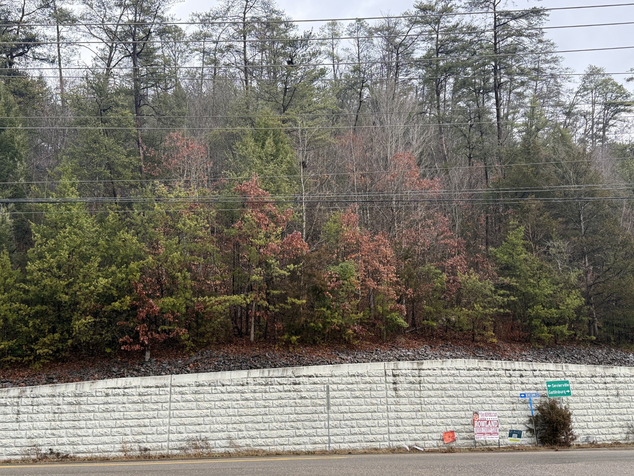 Photo of Listing #3133095