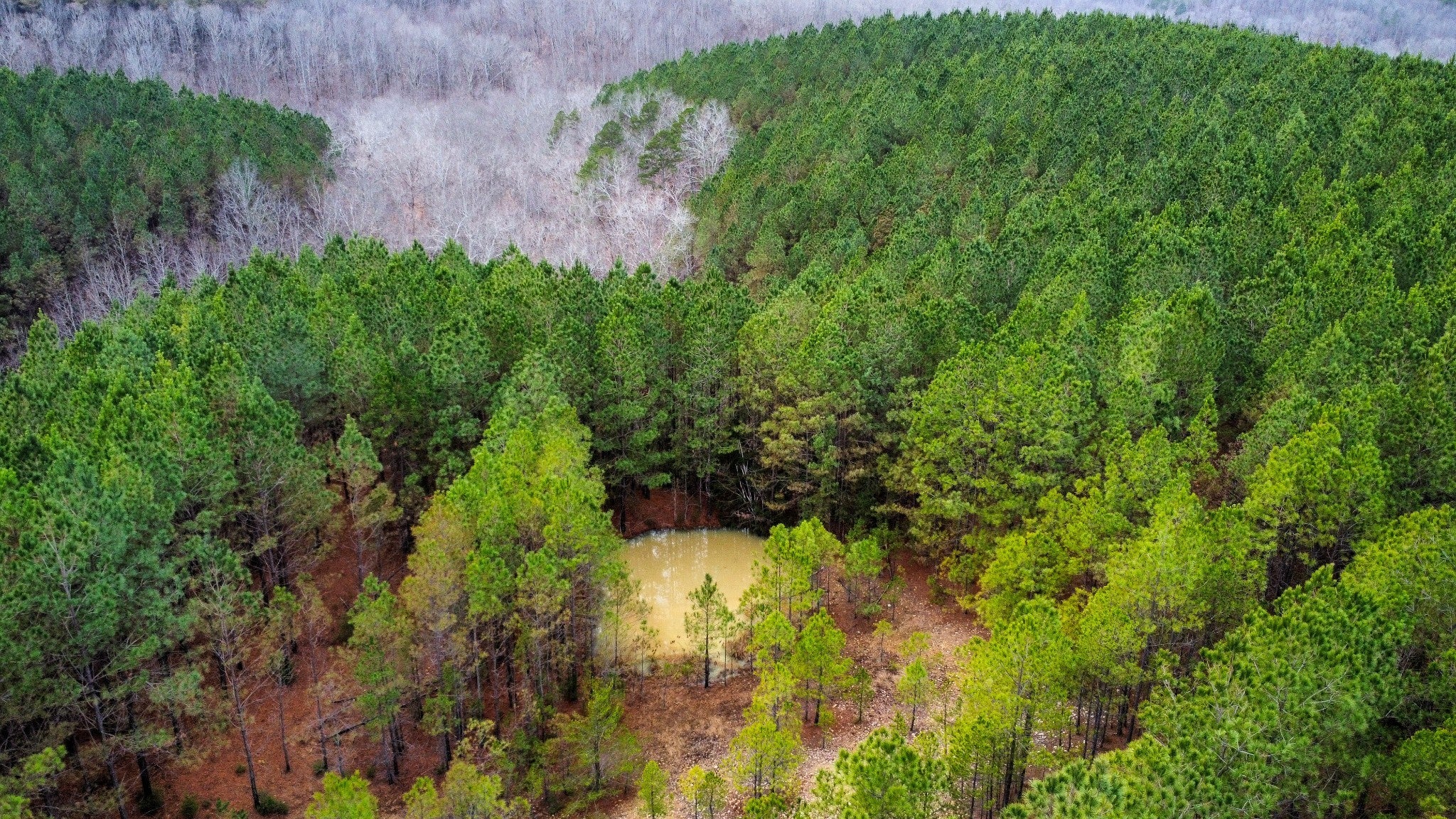 Photo of Listing #3133197