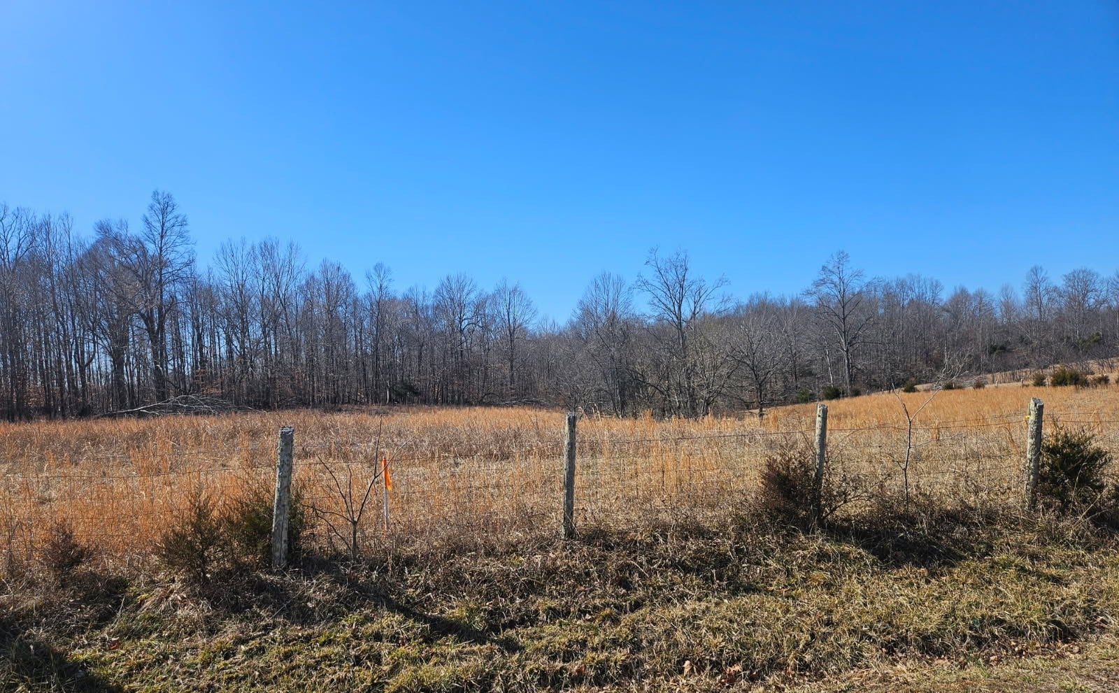 Photo of Listing #3133552