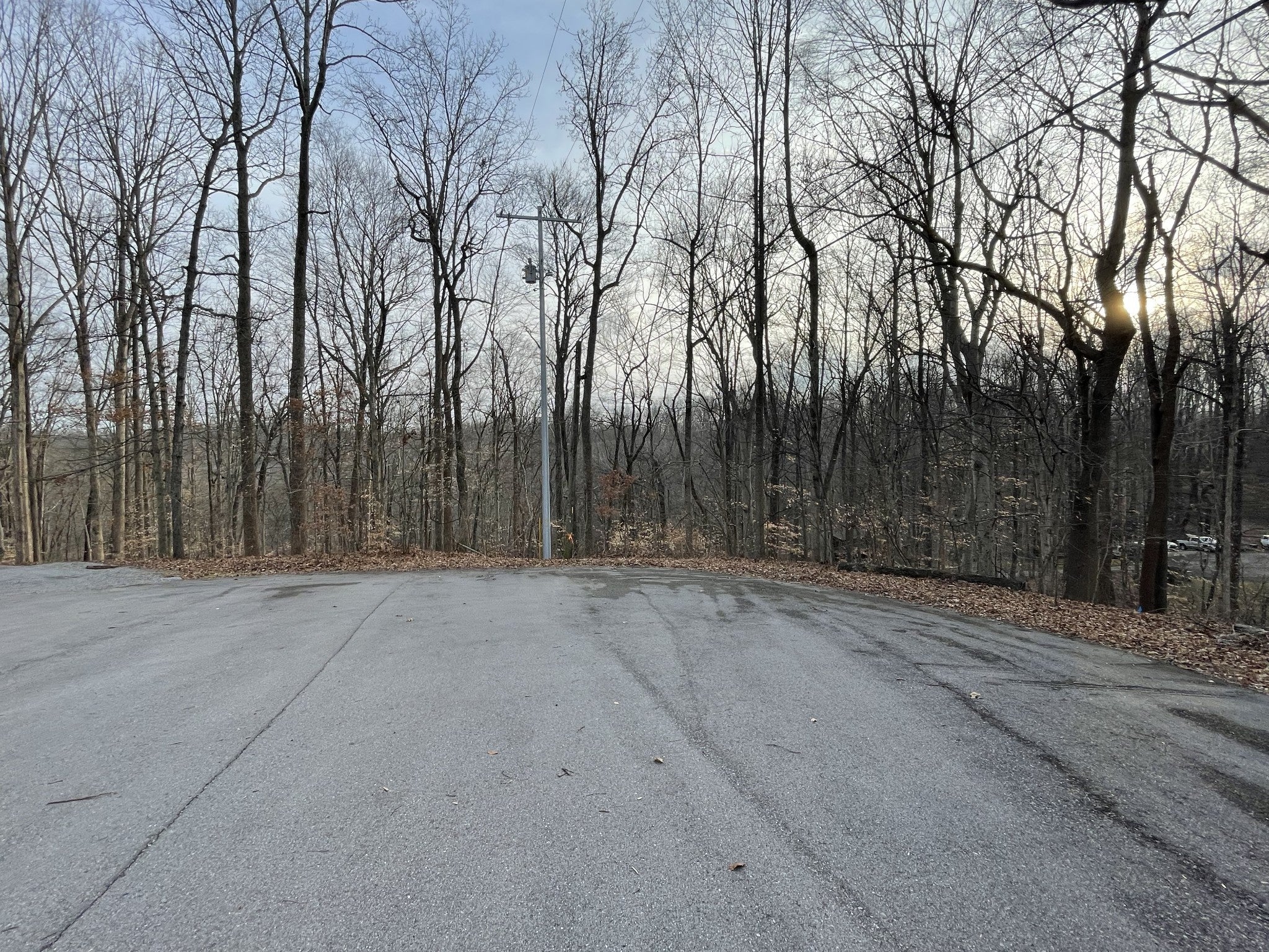 Photo of Listing #3133744