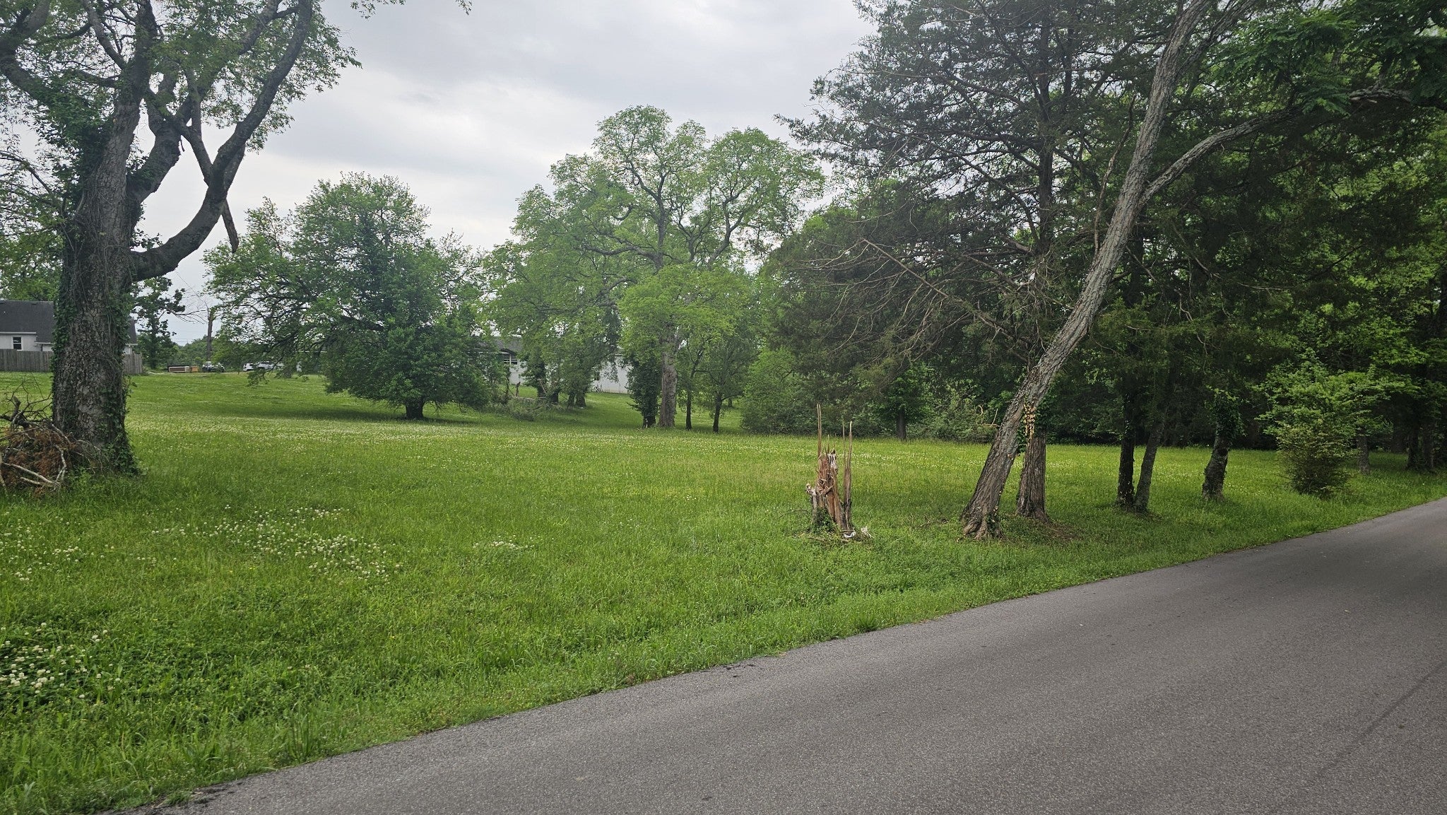 Photo of Listing #3133868