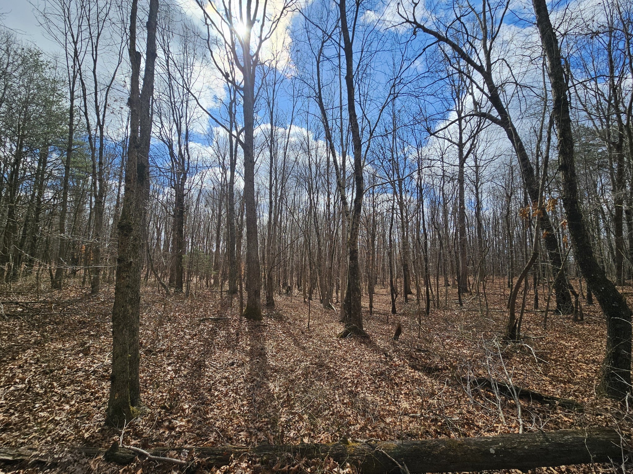 Photo of Listing #3134043