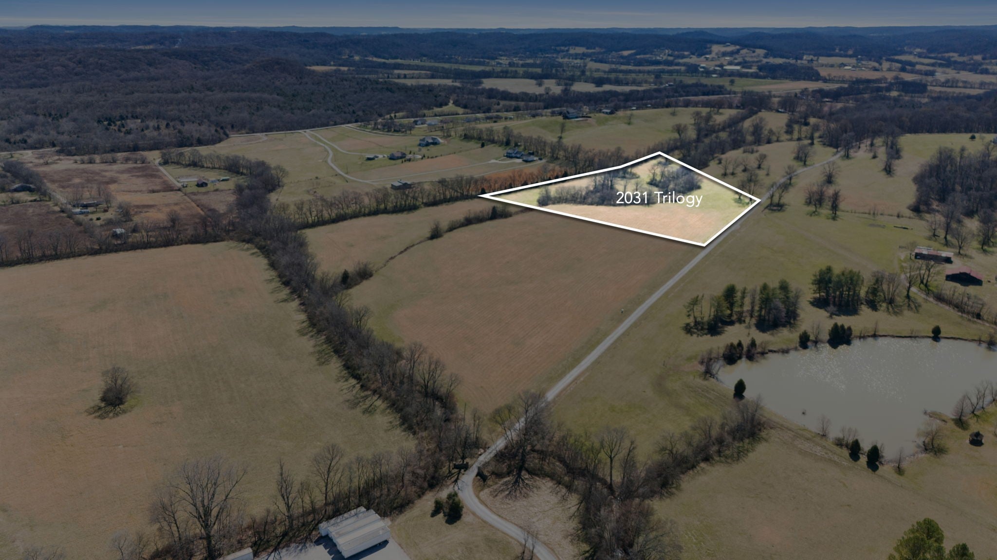 Photo of Listing #3134123