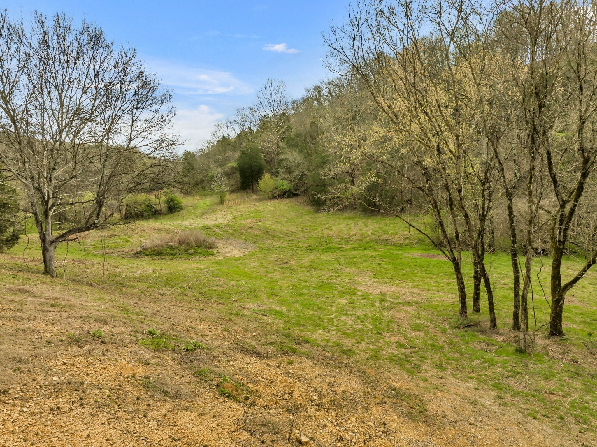 Photo of Listing #3134334