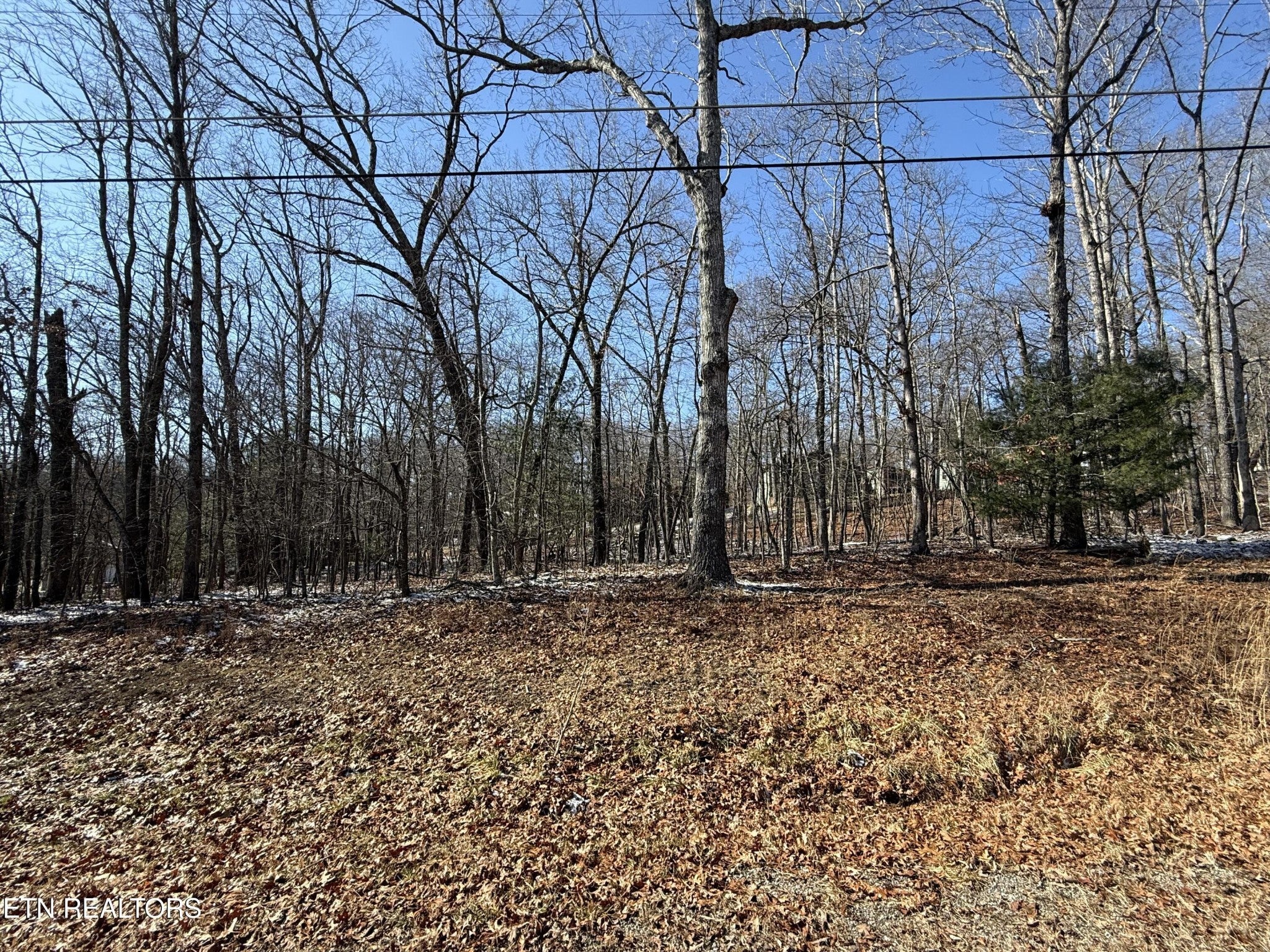 Photo of Listing #3134386