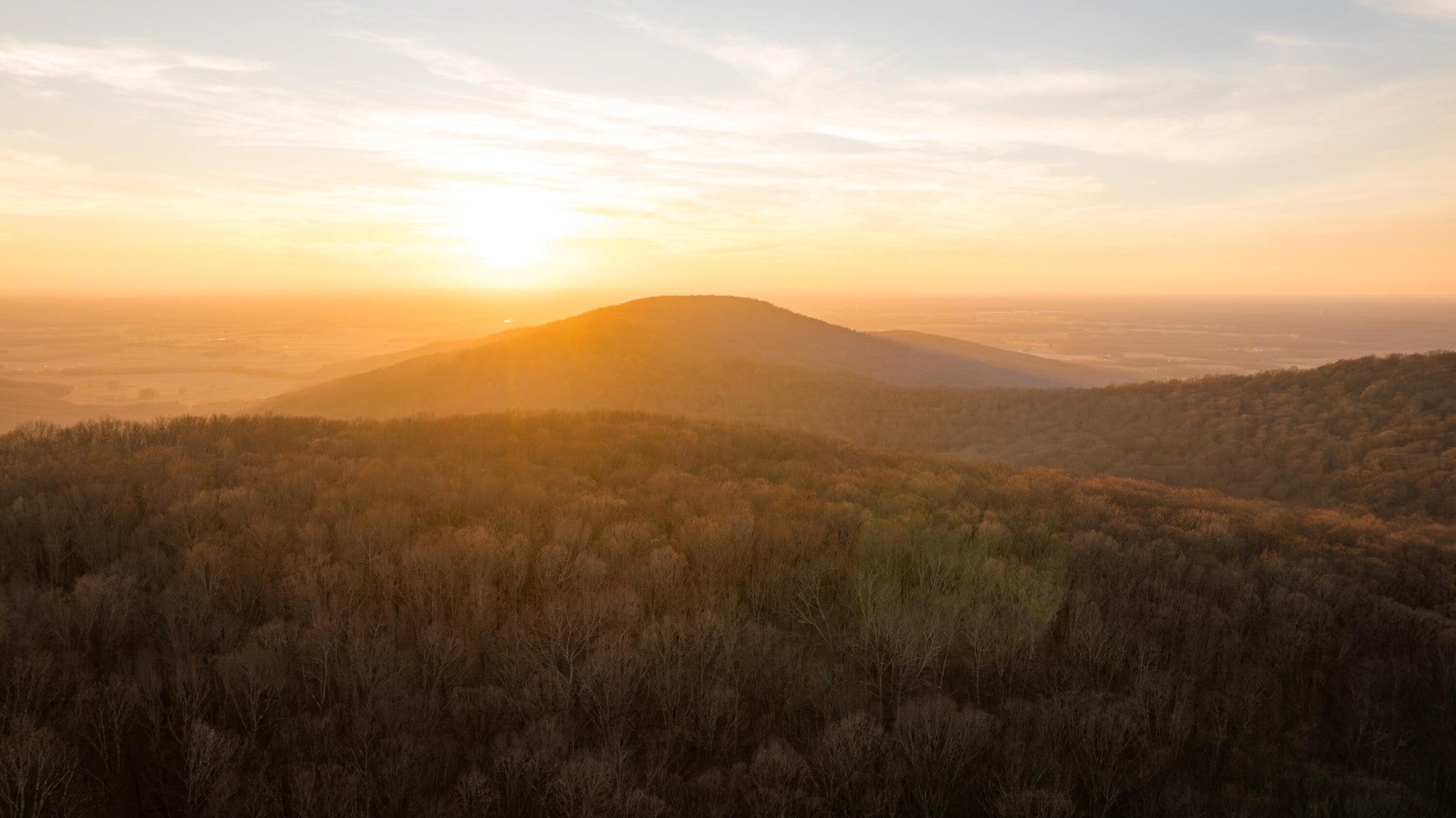 Photo of Listing #3134740