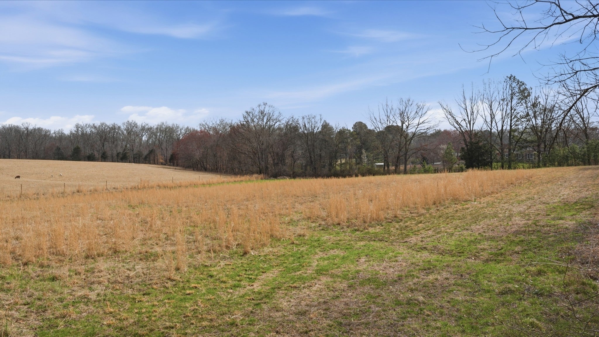 Photo of Listing #3134817