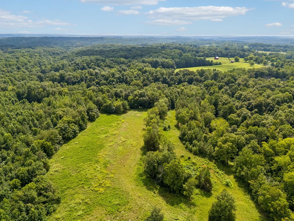 0 Mosley Ferry Rd, Ashland City