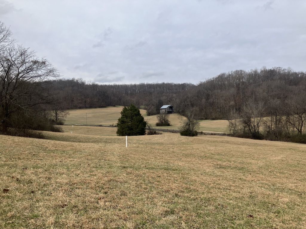 12 Booker Ridge Rd, Mount Pleasant