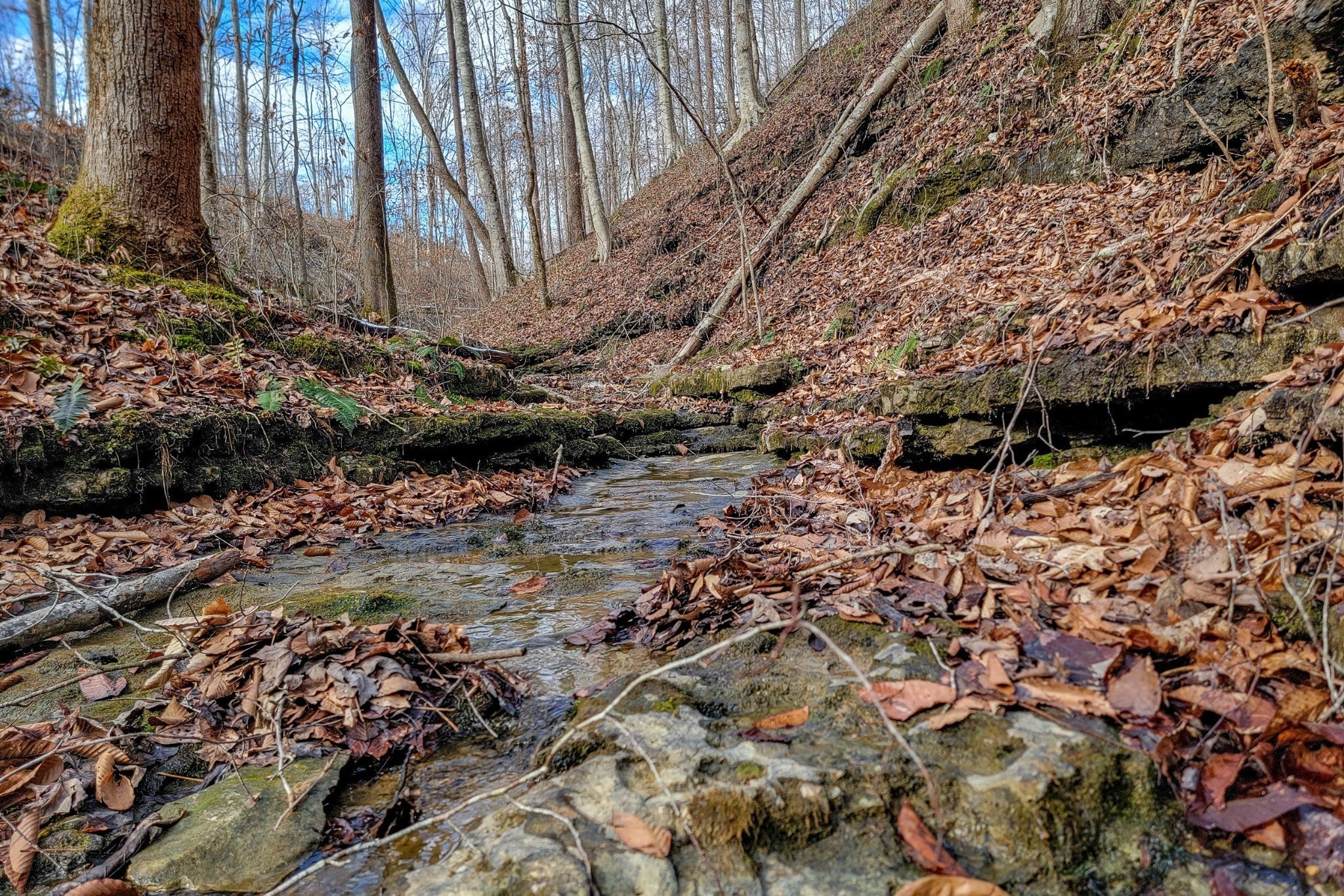 Photo of Listing #3134939