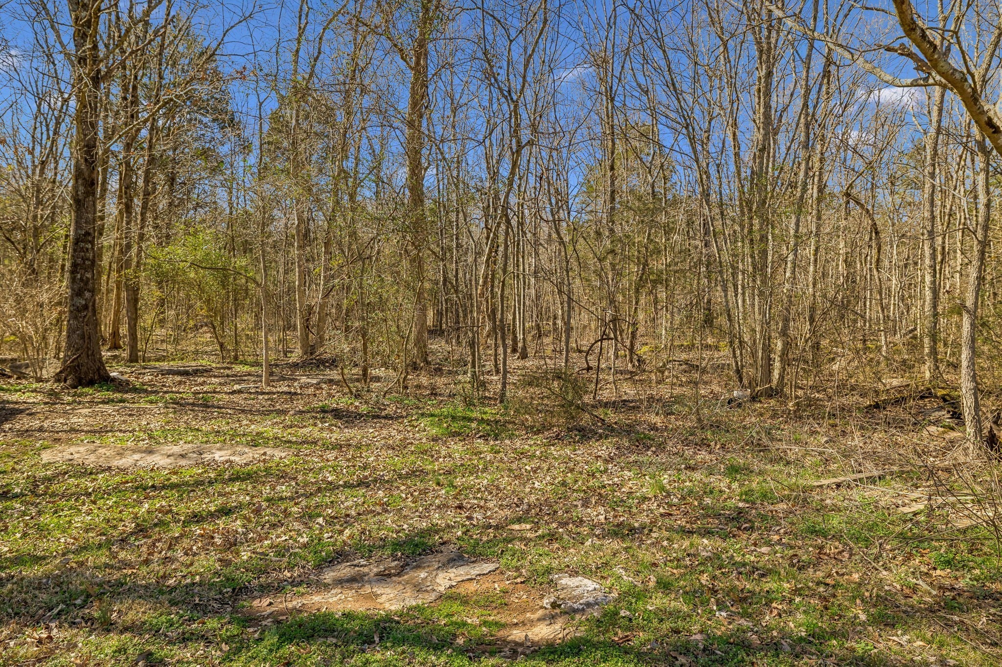 Photo of Listing #3134955