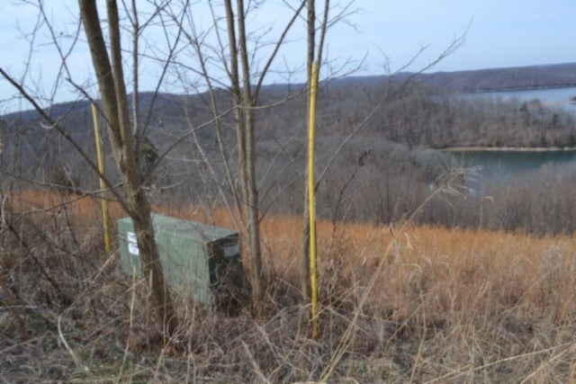 Photo of Listing #3135236