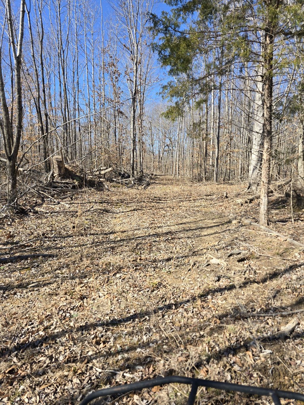 0 Honey Fork Road, Indian Mound