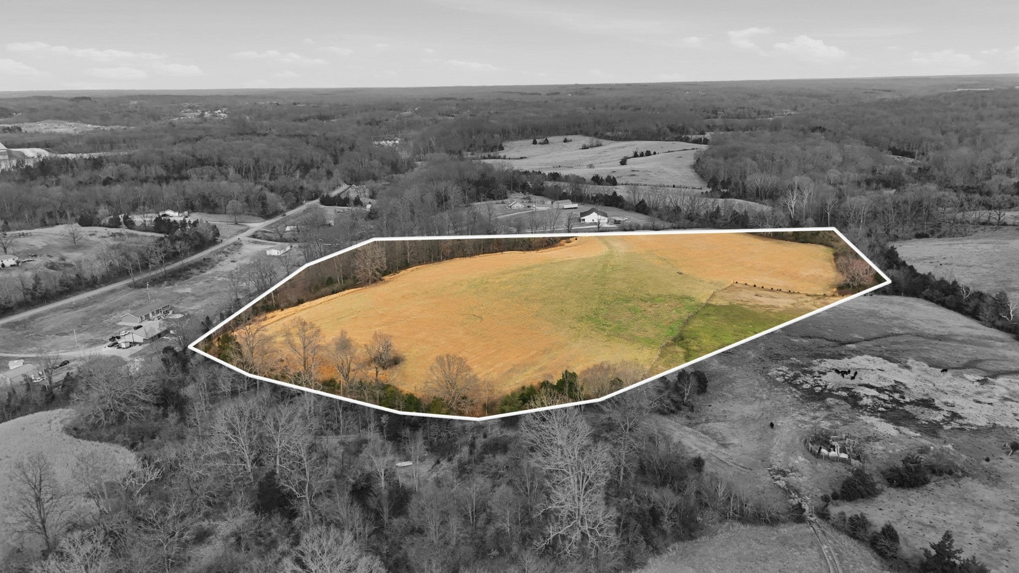 Photo of Listing #3135494