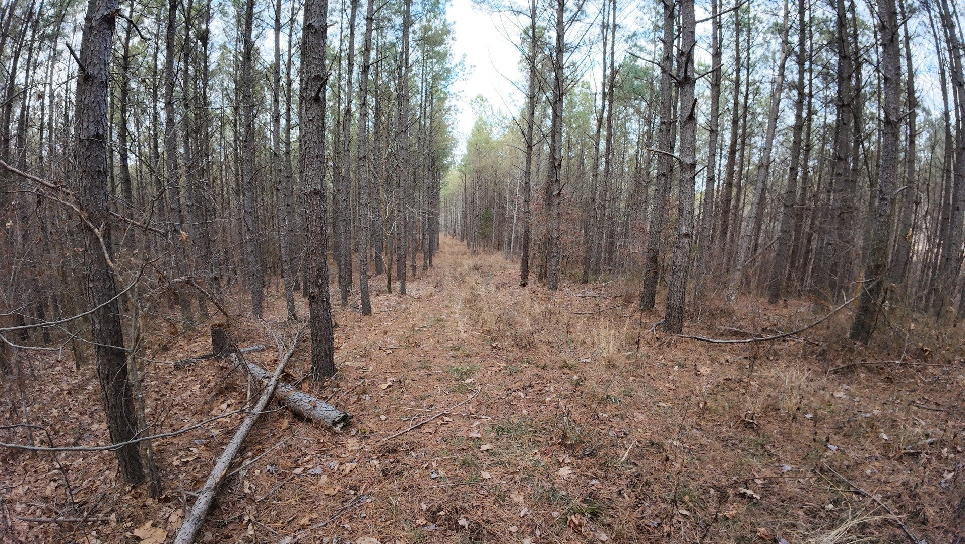 Photo of Listing #3135564