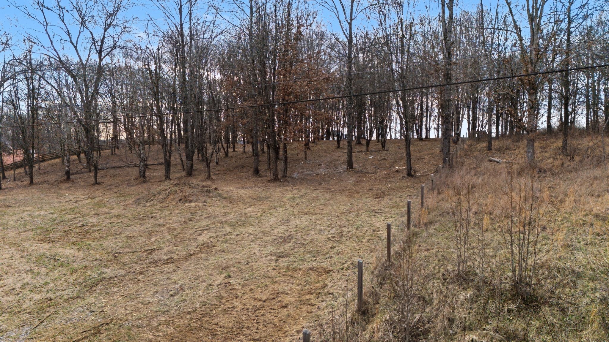 Photo of Listing #3135686