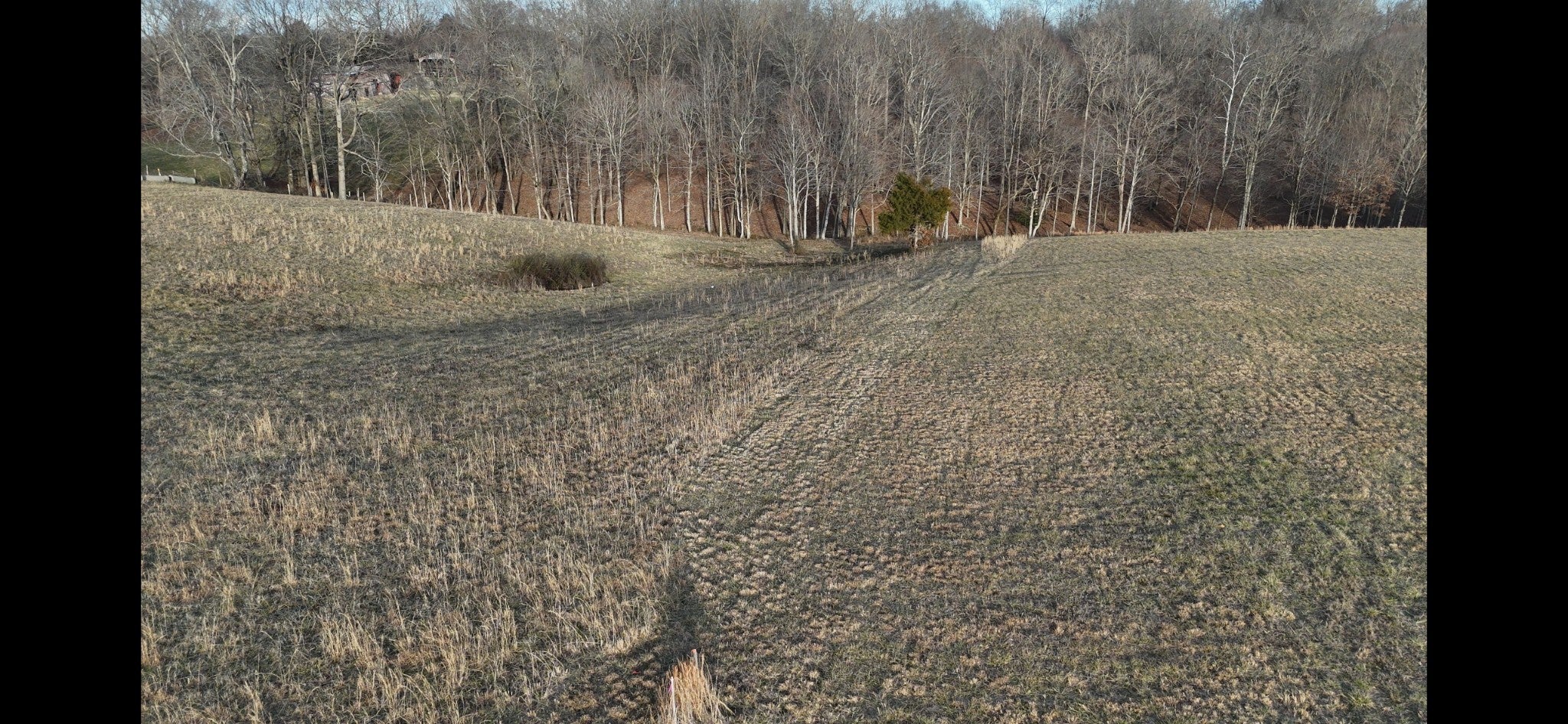 Photo of Listing #3135943