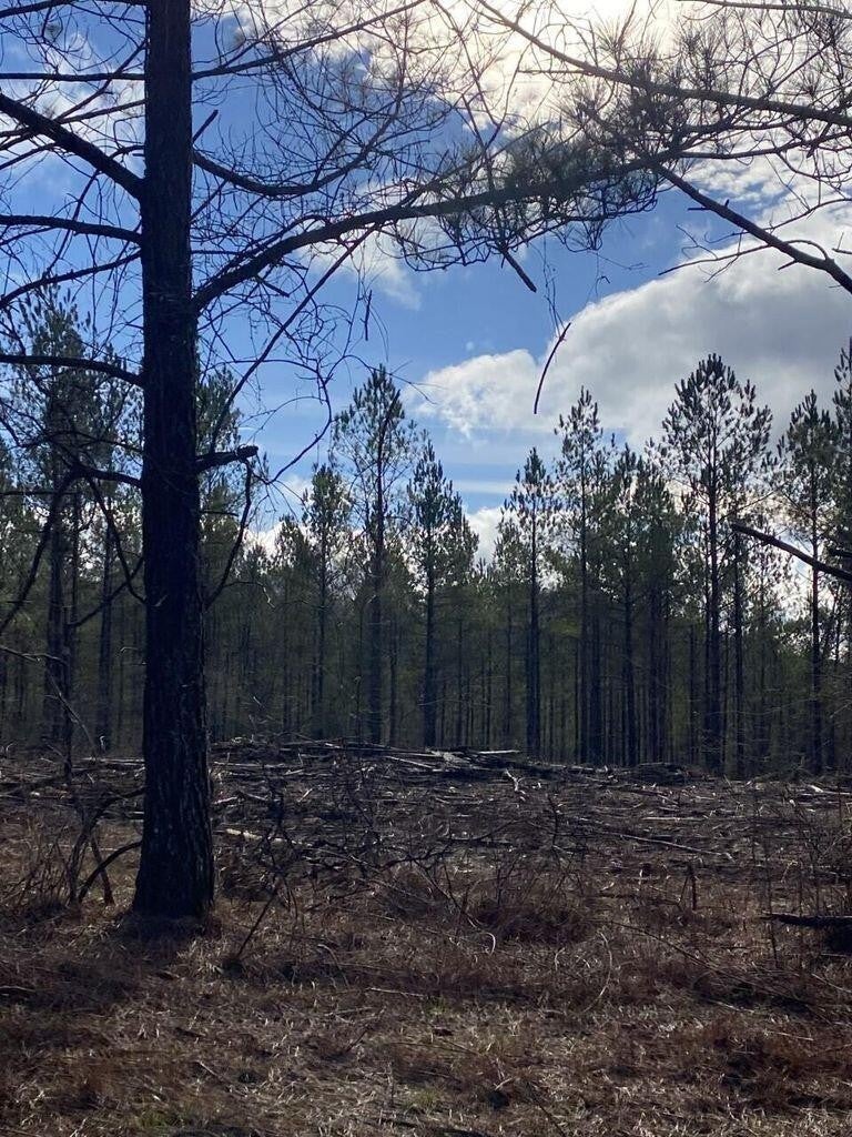 Photo of Listing #3136404