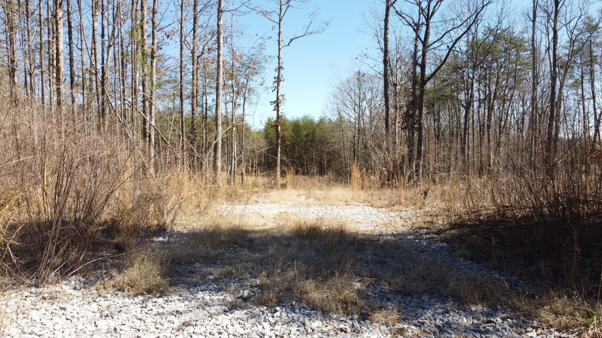 Photo of Listing #3136653